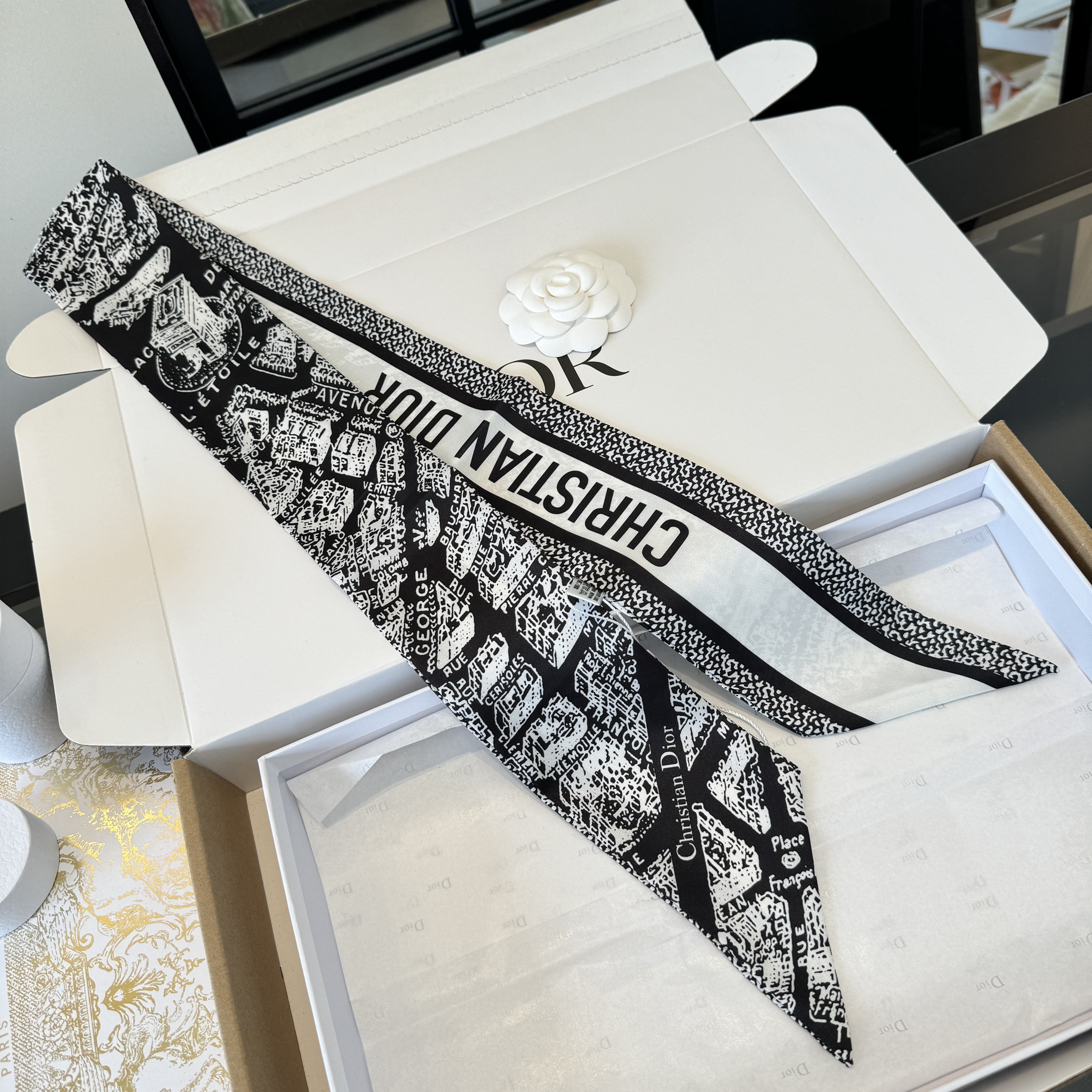 Dior Printed MITZAH Twilly