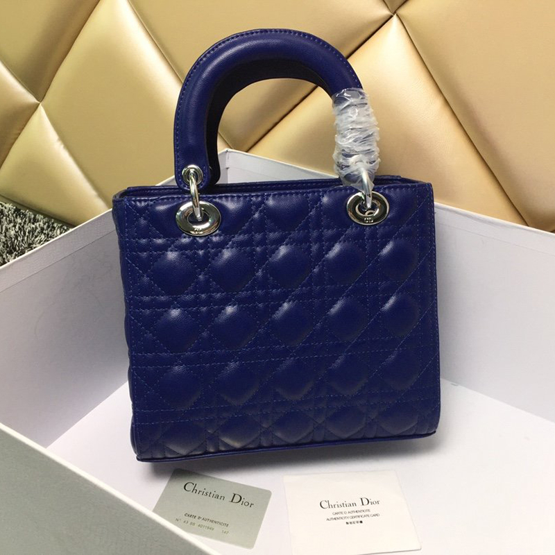 Dior The LADY D-LITE Bag  AAA Quality