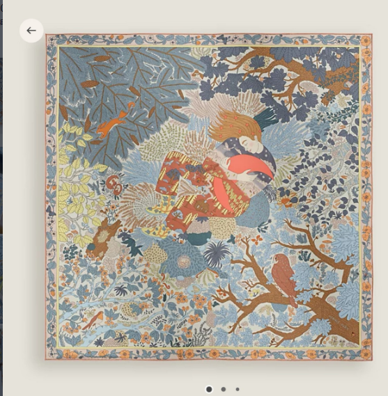 Hermes Silk Square 90cm