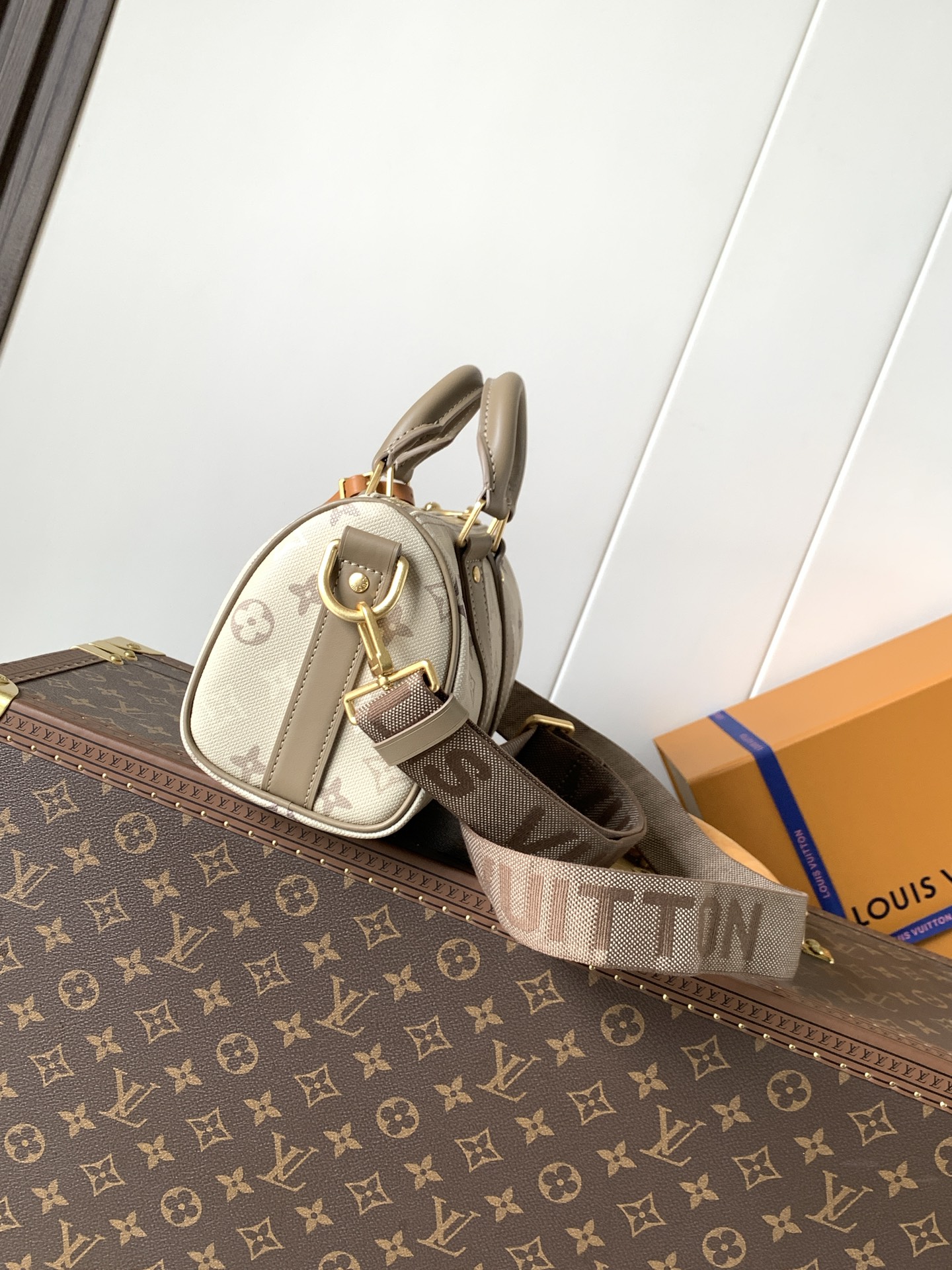 LV Louis Vuitton M29272 Keepall Bandoulière 25