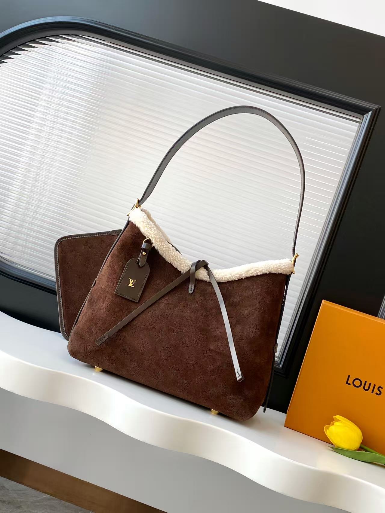 Louis Vuitton Ski Carry All Small Handbag
