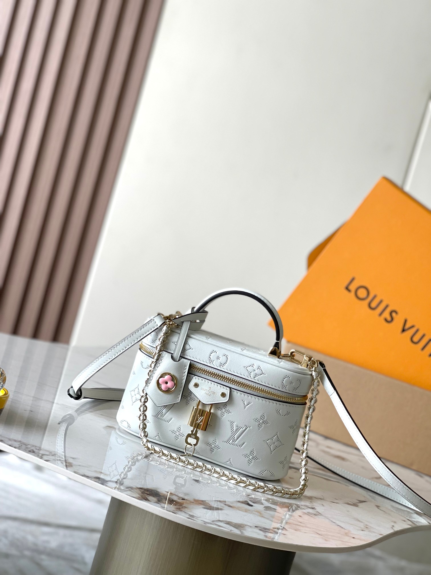 Louis Vuitton Vanity Pouch handbag
