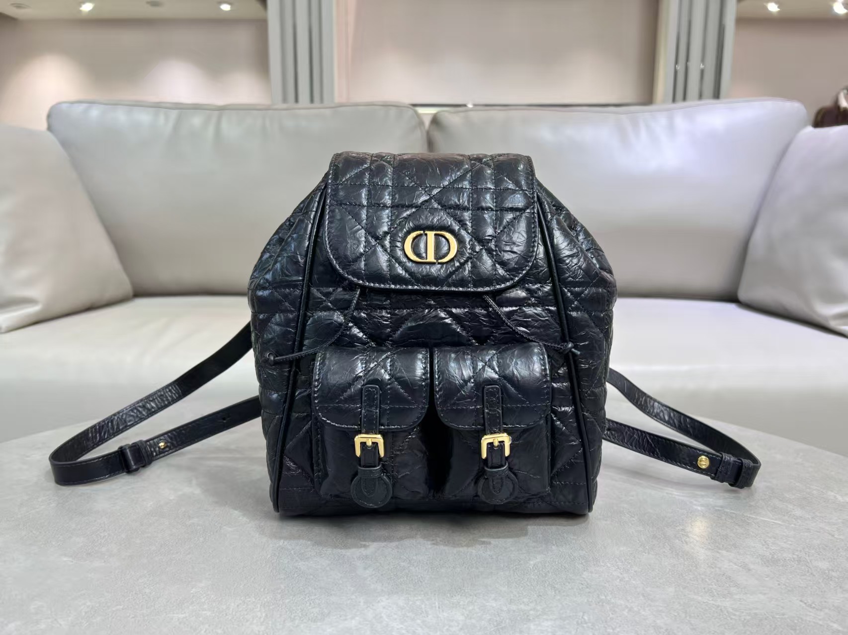 Dior Caro Backpack