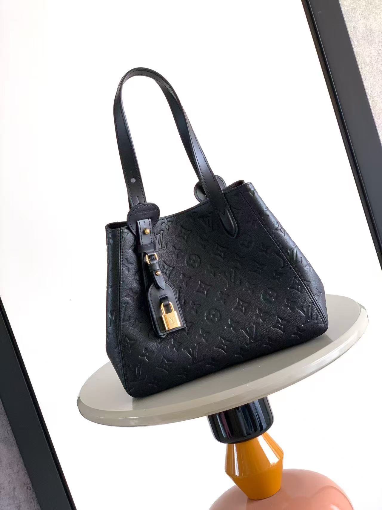 Louis Vuitton LV ALL IN ONE