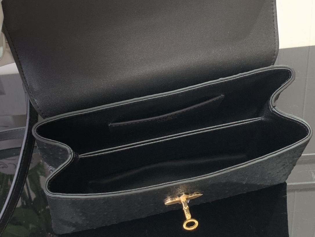 LOUIS VUITTON LV ROSE DES VENTS BAG M87107