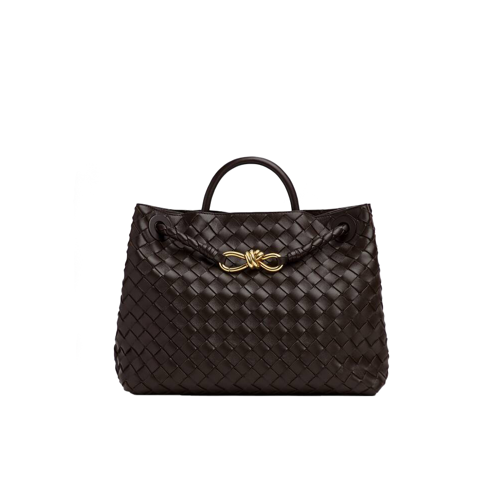 Bottega Veneta BV Medium Andiamo Bag
