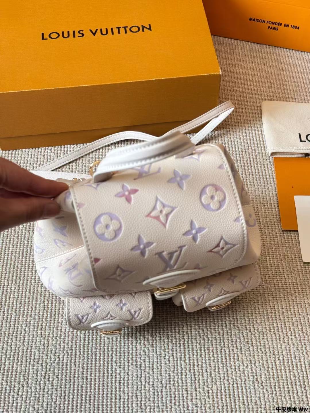 Louis Vuitton Bags lv Backpack