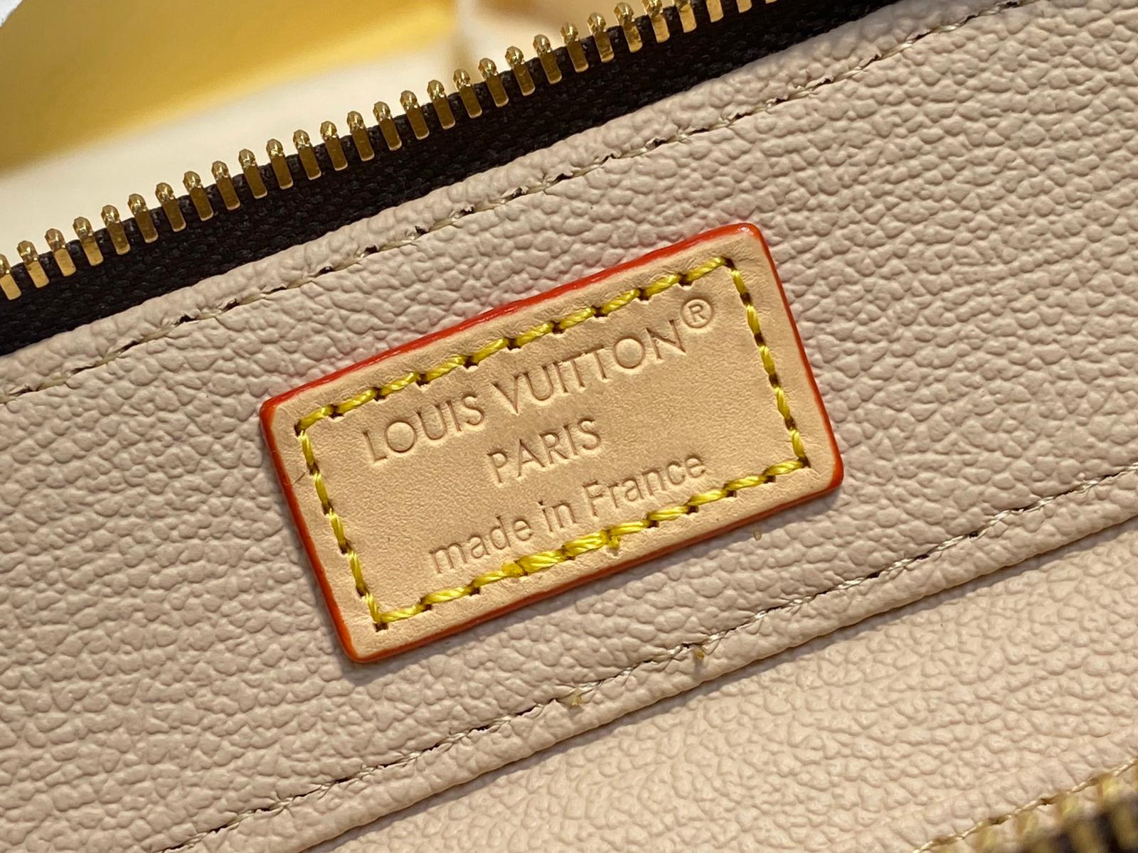 Louis Vuitton LV Nice Beauty
