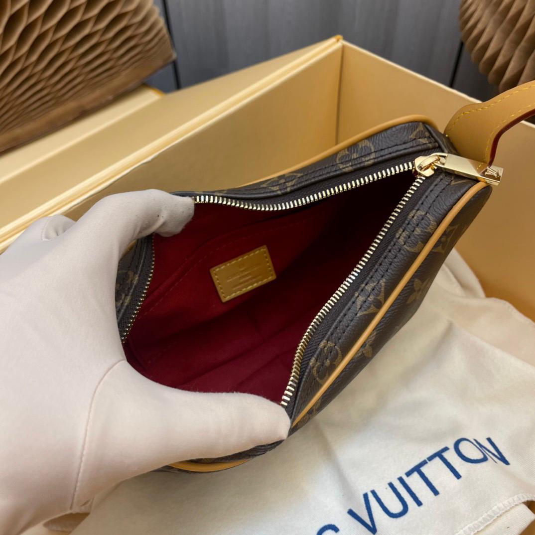 Louis Vuitton LV Classic printed pea bag