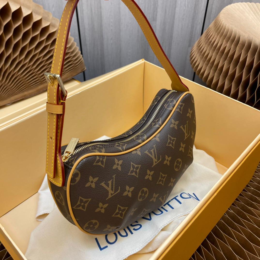 Louis Vuitton LV Classic printed pea bag