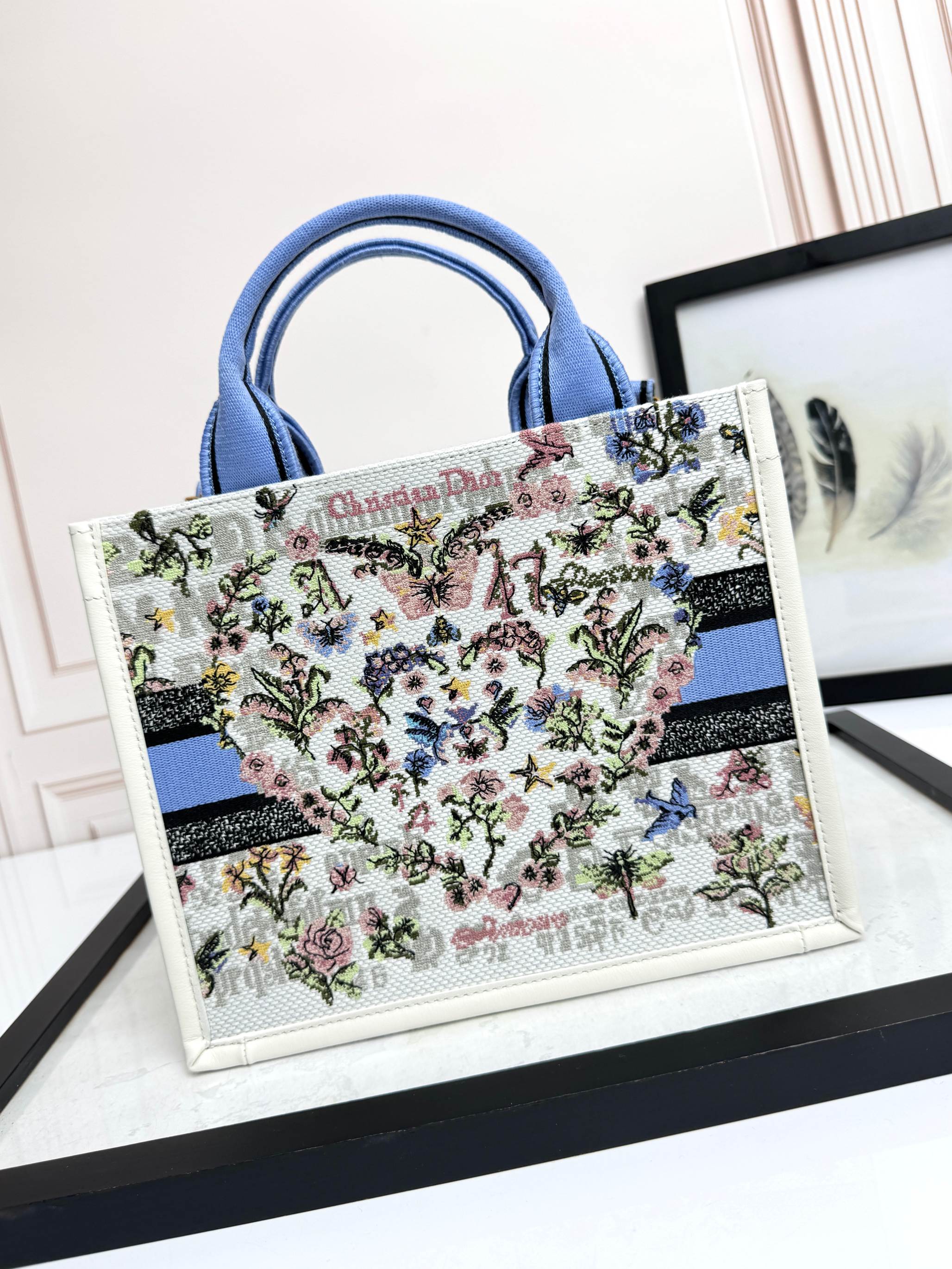 Dior Embroidered Canvas Small  Book Tote with shoulder strap