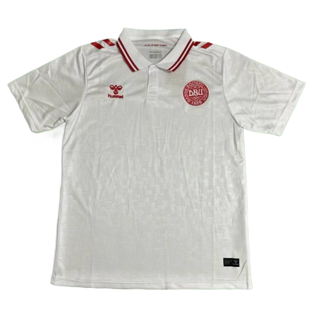 Denmark 2024 Away  S-XXL