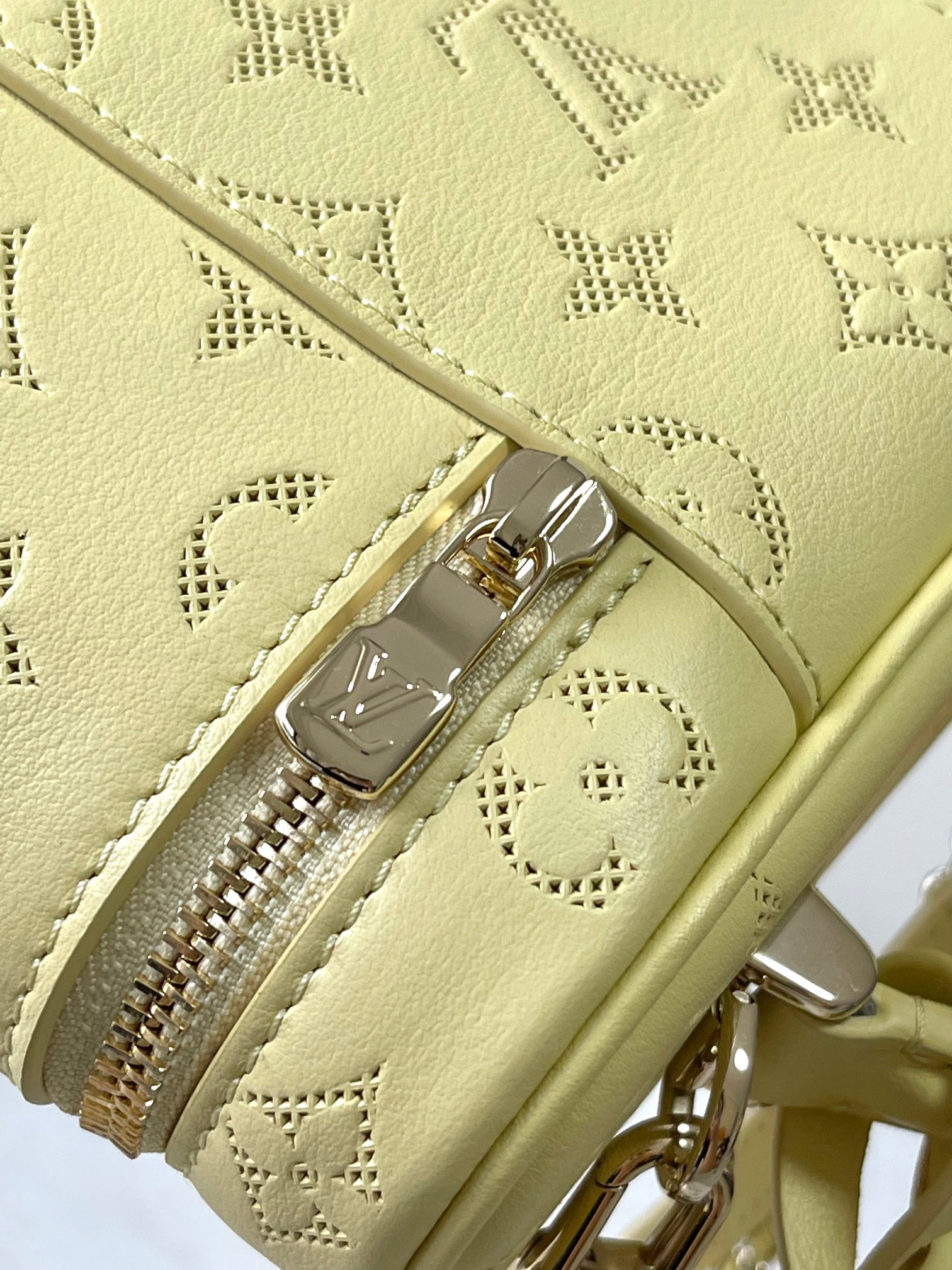Louis Vuitton Vanity Pouch handbag