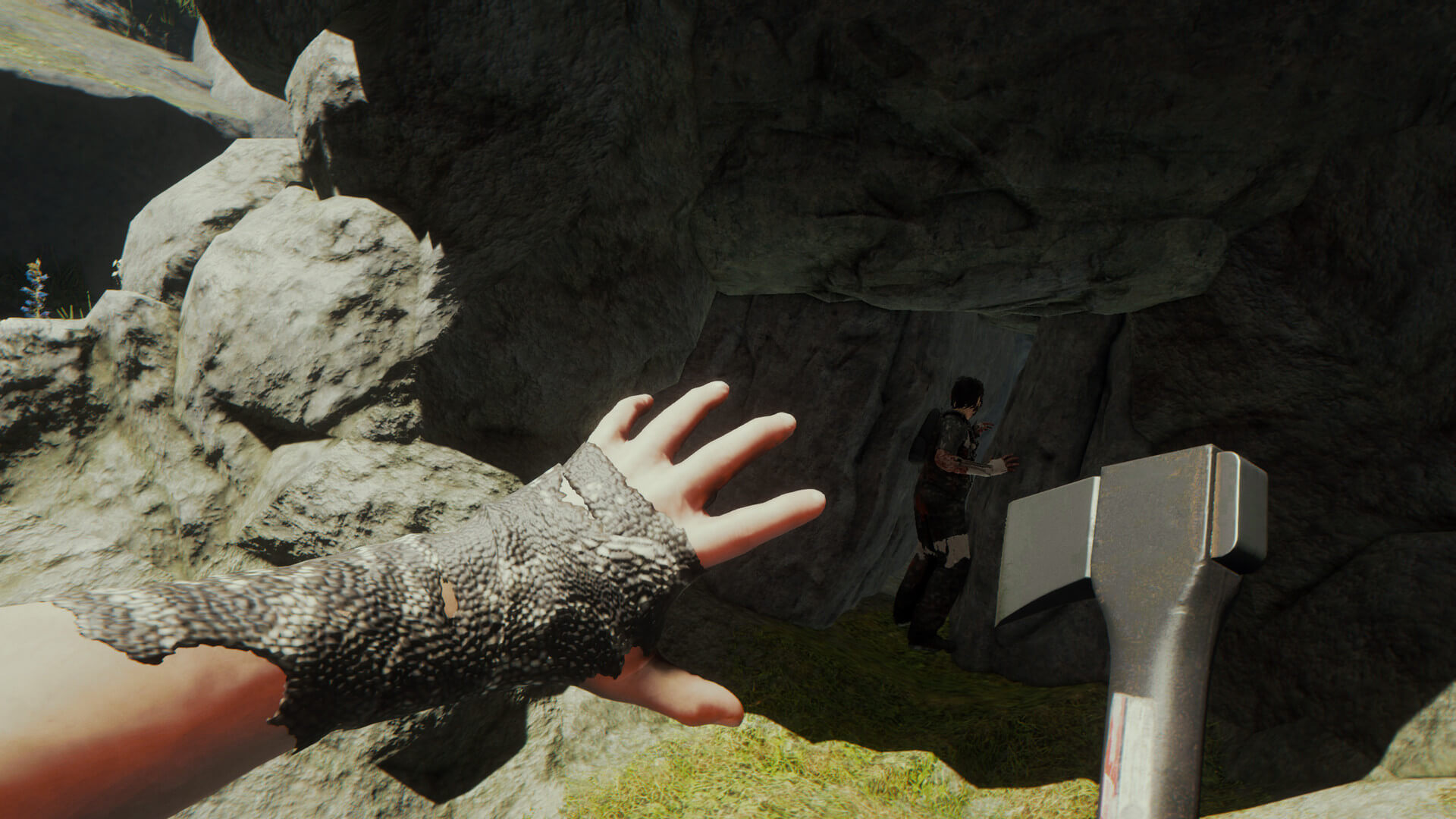 The Forest PC Steam Account