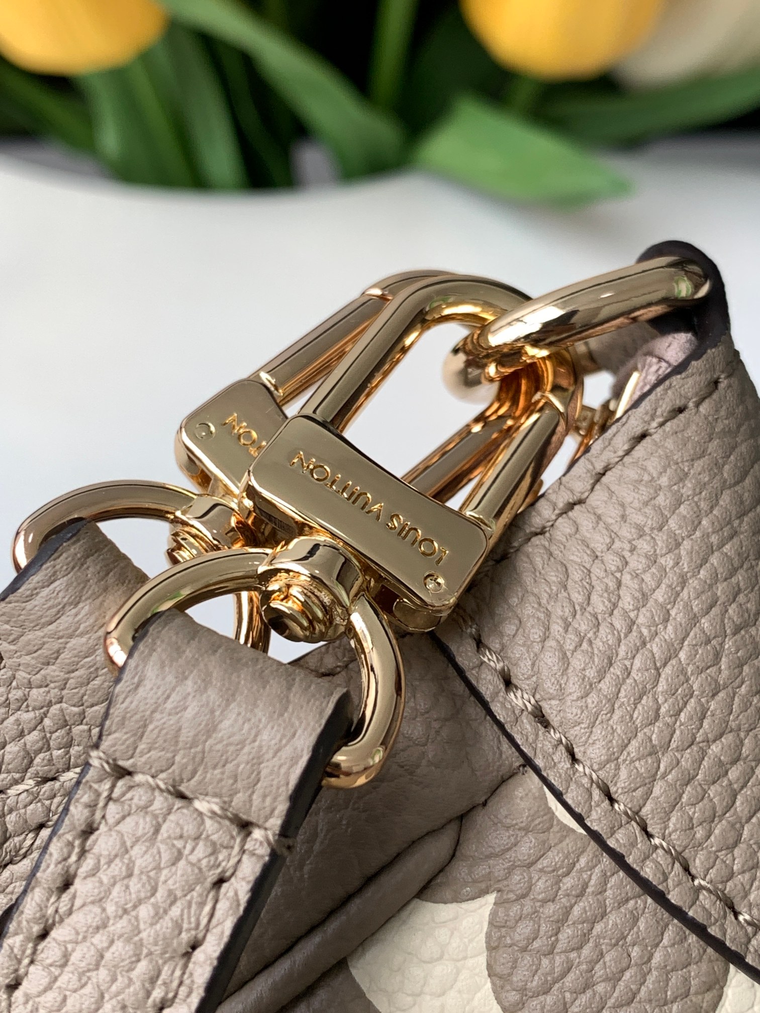 Louis Vuitton LV Bagatelle croissant bag