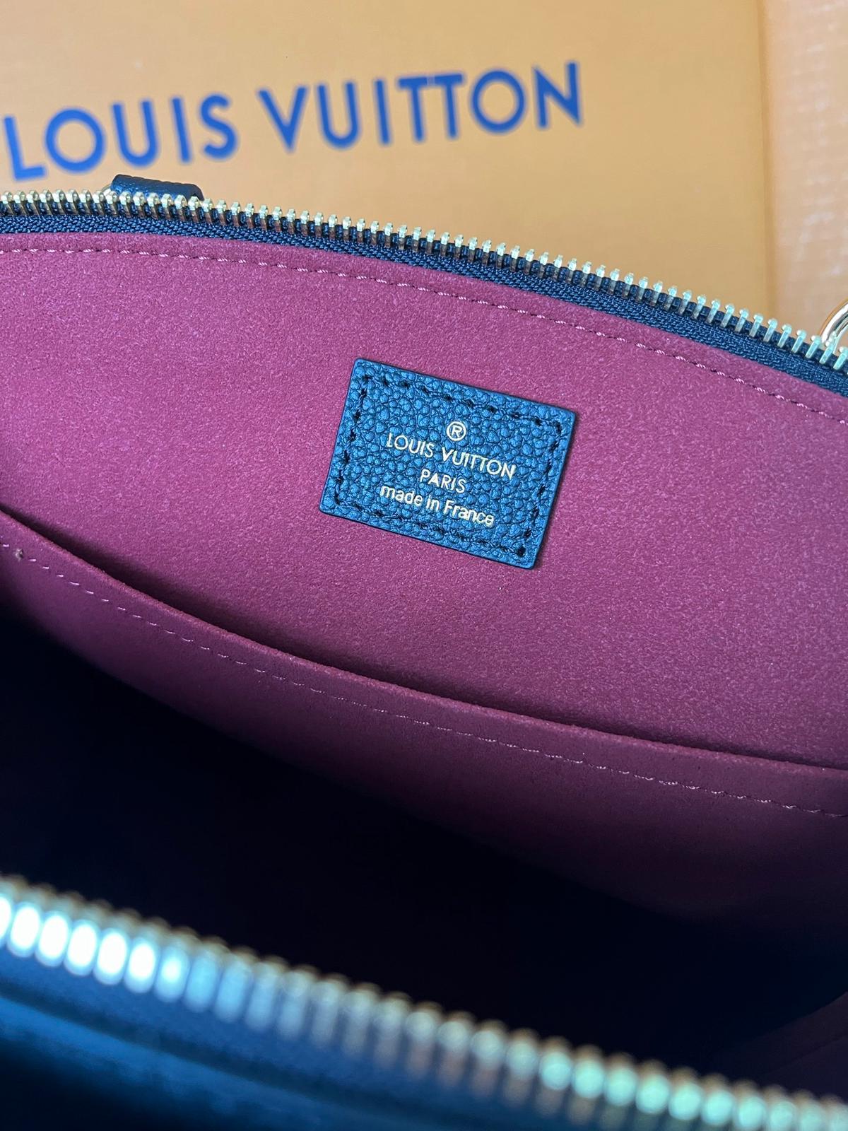 Louis Vuitton PETIT PALAIS handbag