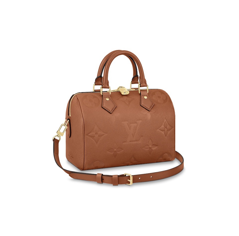 Louis Vuitton LV Speedy 25 Handbag