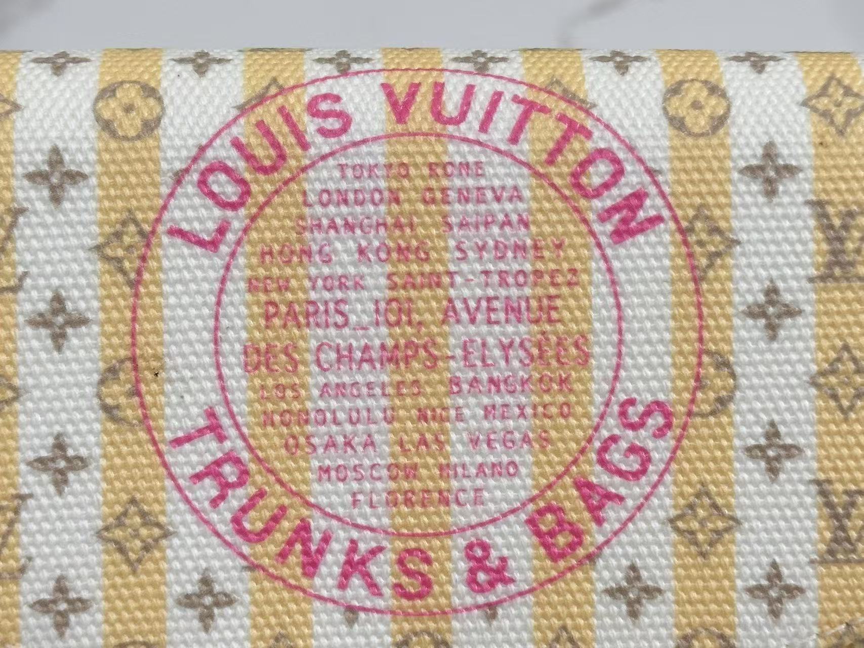 Louis Vuitton LV Felicie Pochette WOC Chain bag