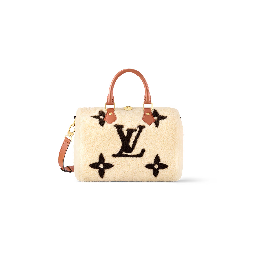 Louis Vuitton LV Speedy Bandoulière 25 bags