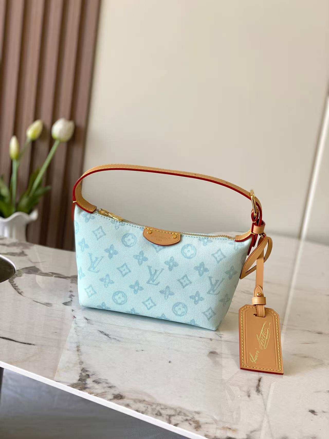 Louis Vuitton LV POCHETTE HILLS Bags