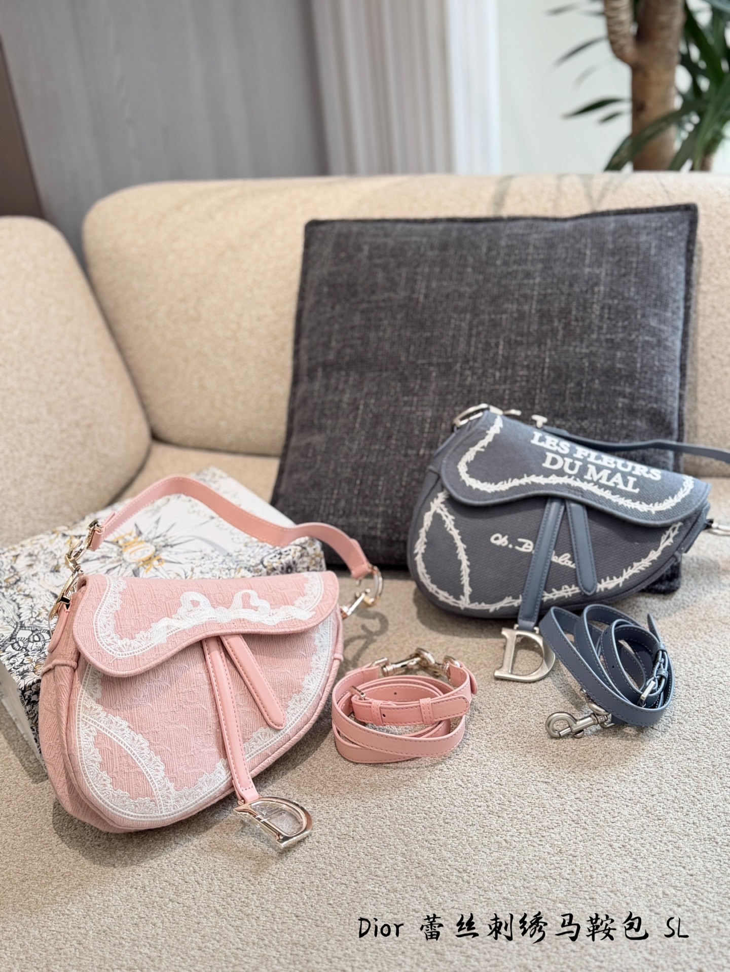 Dior Pink & Grey Canvas 