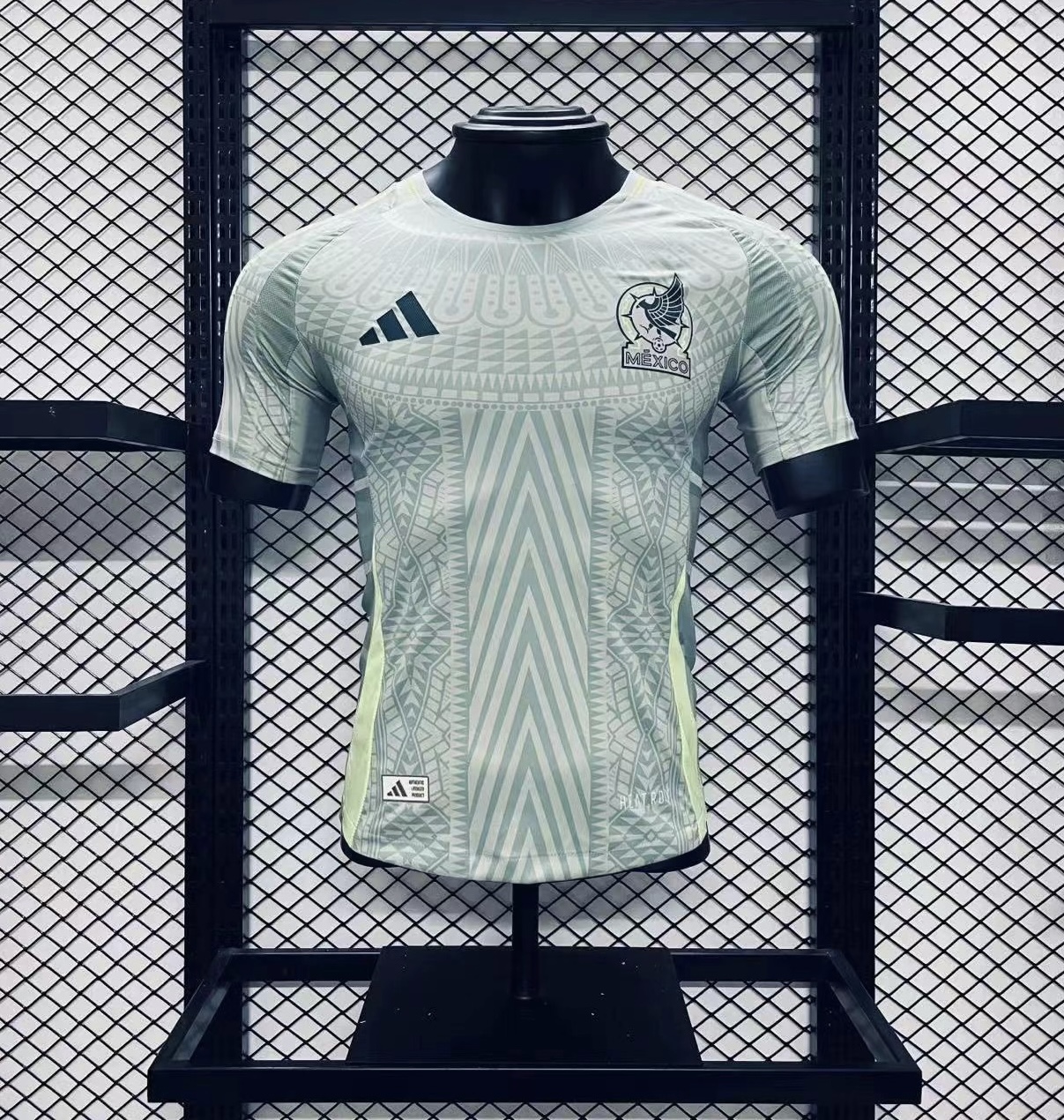 Player Version  Mexico 2024/25 Away