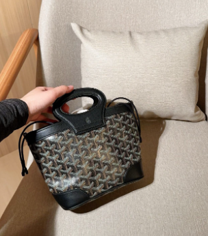 Goyard mini handbag