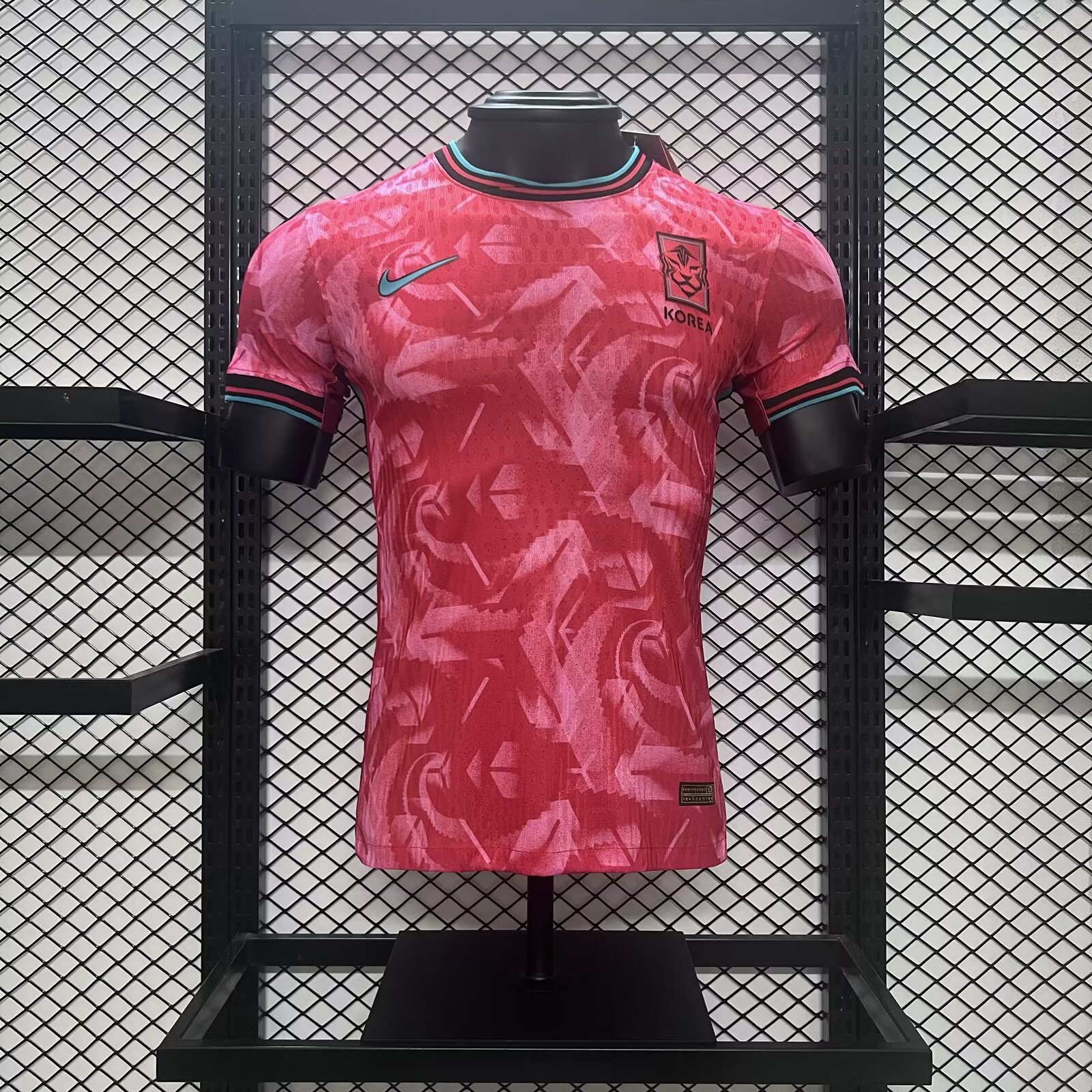 Player Version  Korea 24/25 Home
