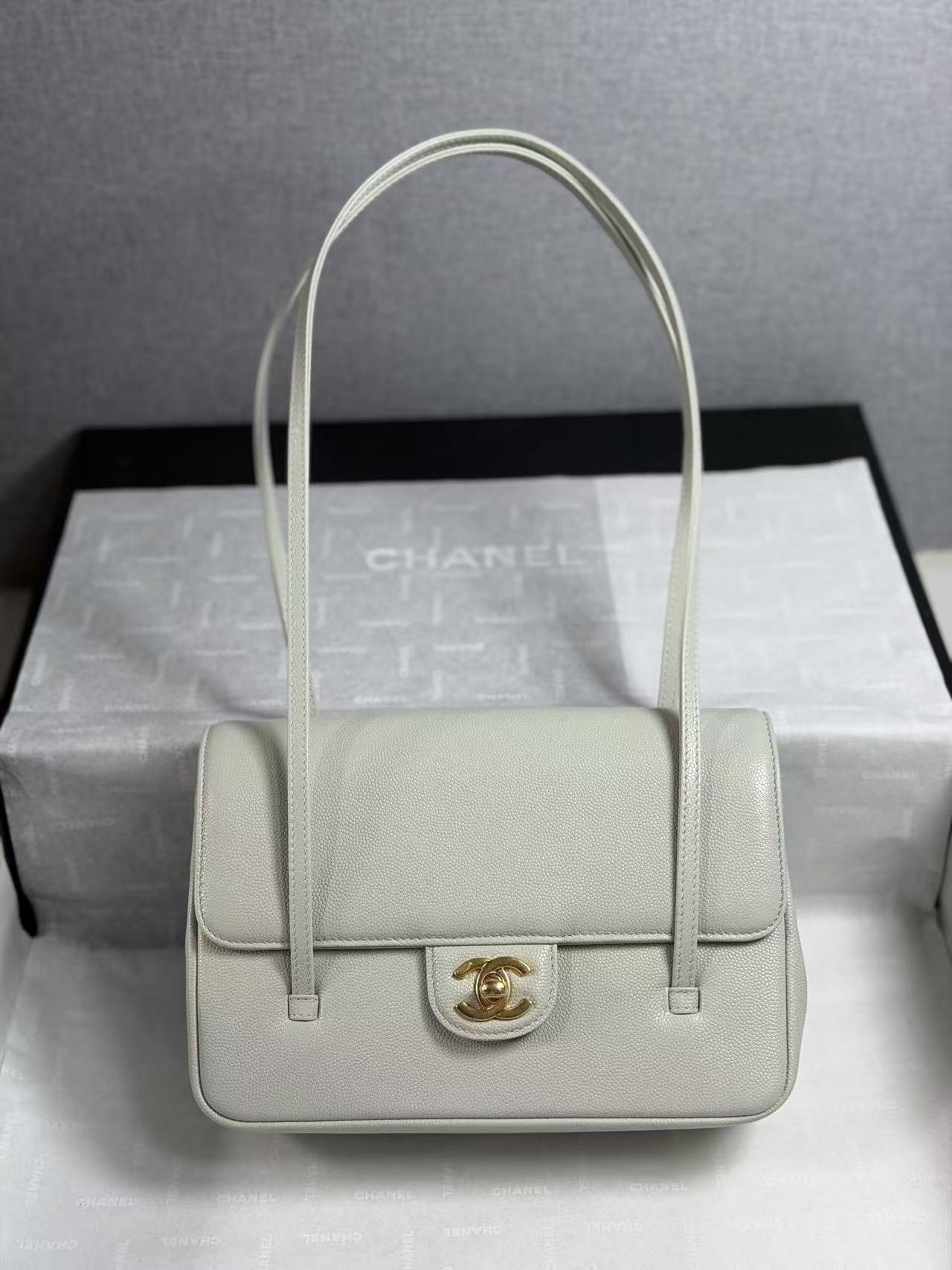 Chanel Preppy Coco handbag