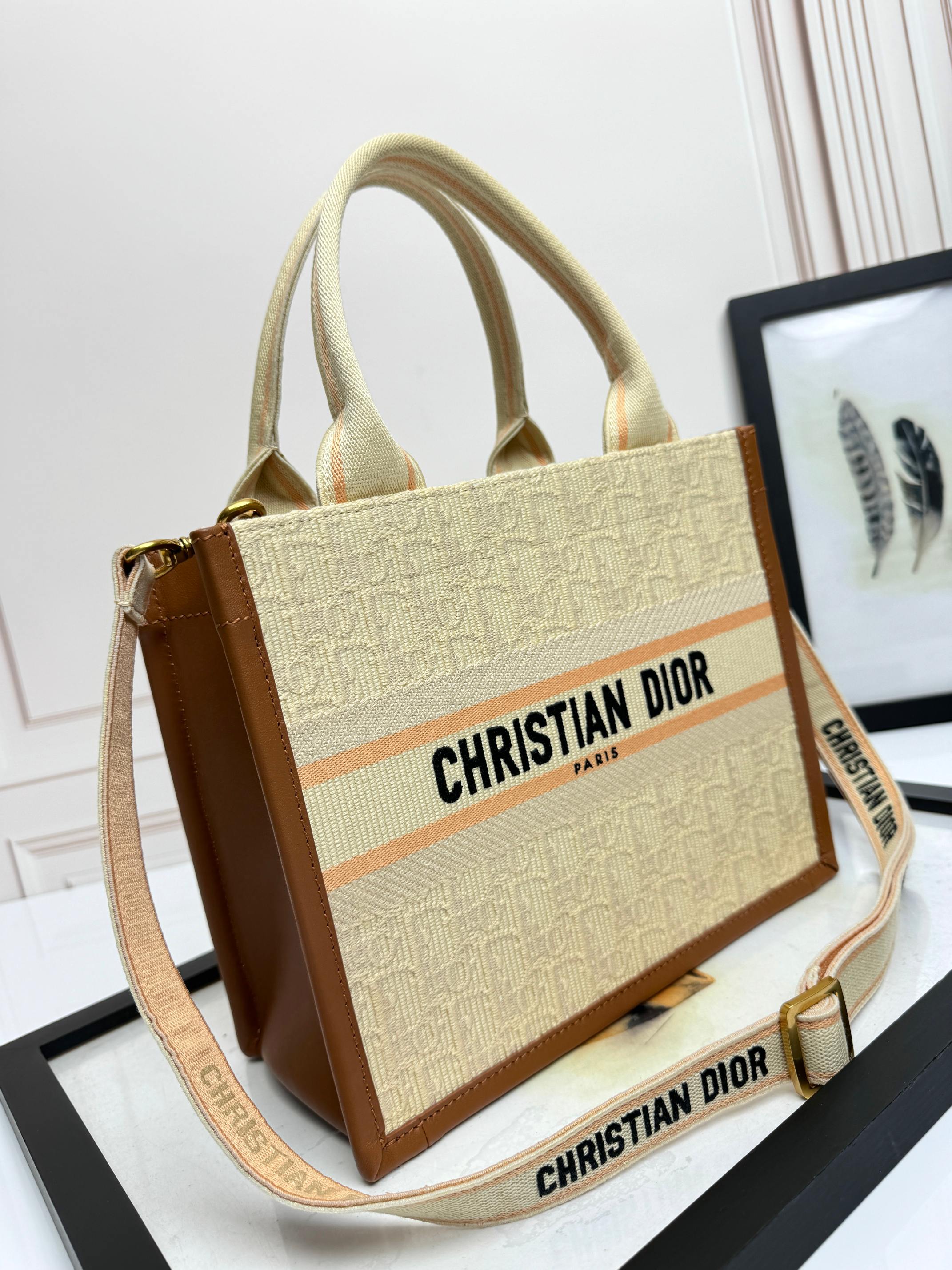 Dior Embroidered Canvas Small  Book Tote with shoulder strap