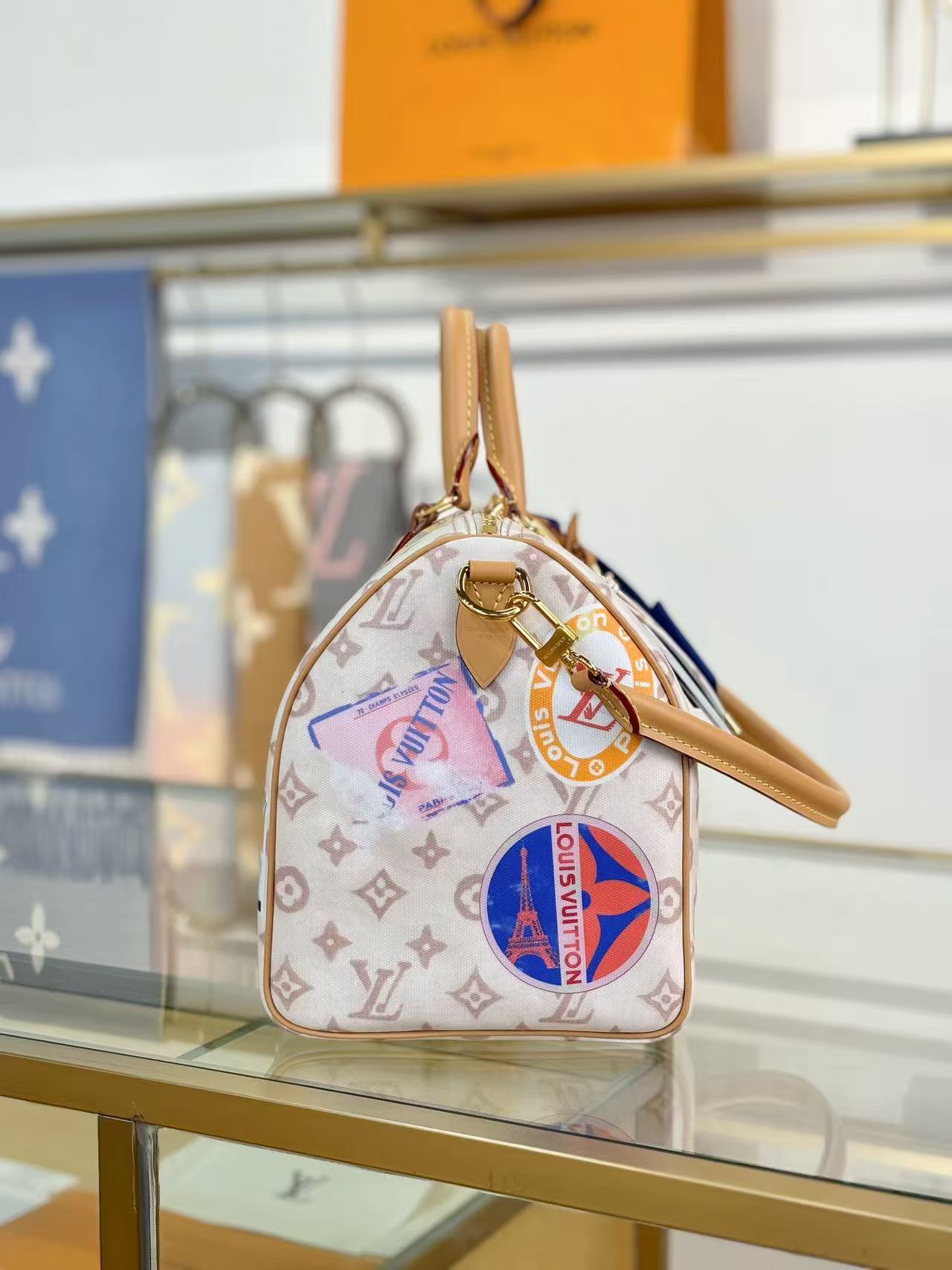 Louis Vuitton LV Sneedy SOFT 30 handbag
