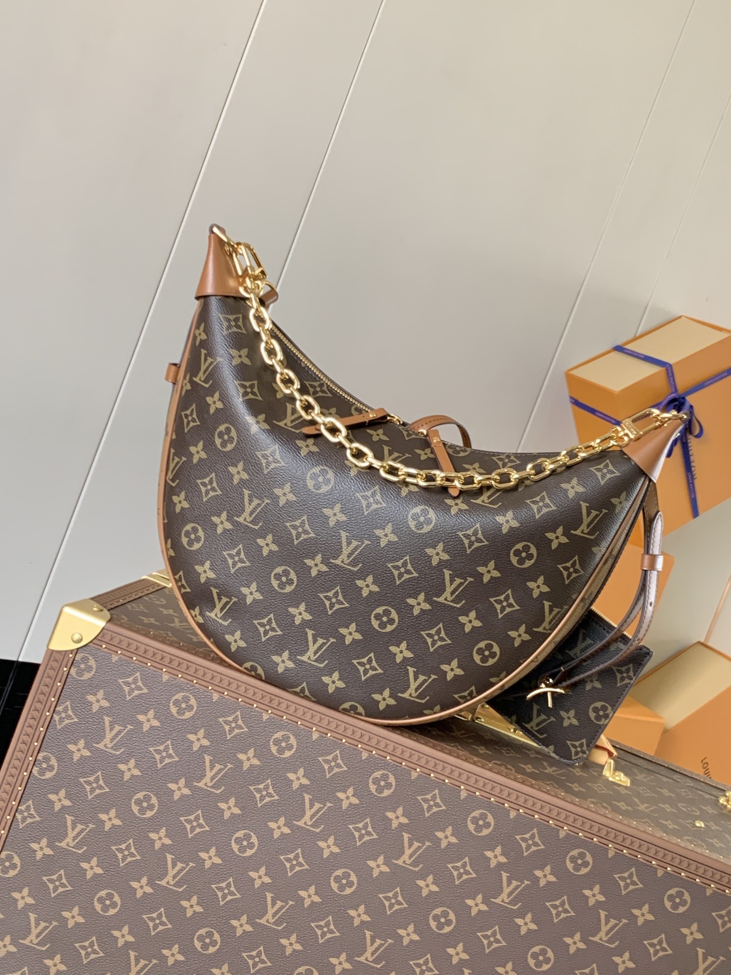 M46311 LV Loop Hobo Bag in Monogram Reverse Canvas