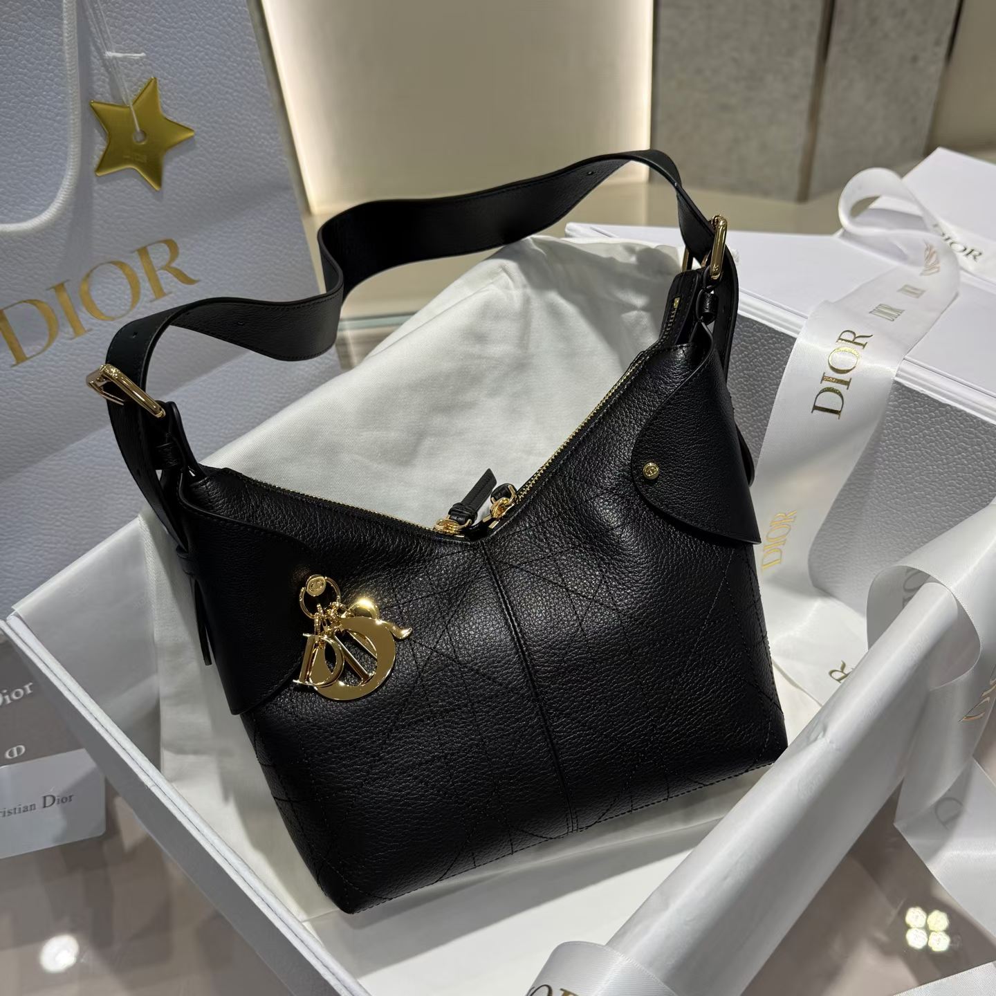 Dior Small Voyage Underarm Bag