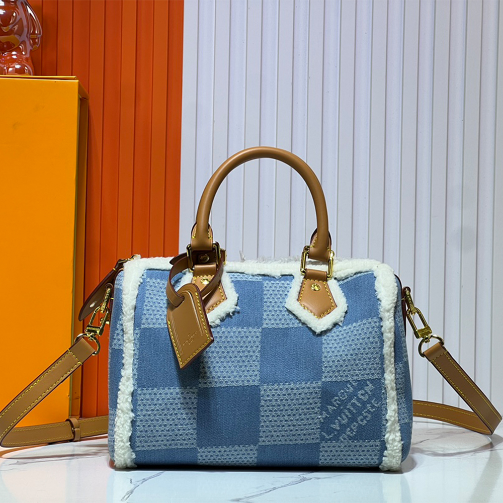 Louis Vuitton LV Speedy25 Denim Canvas Bag