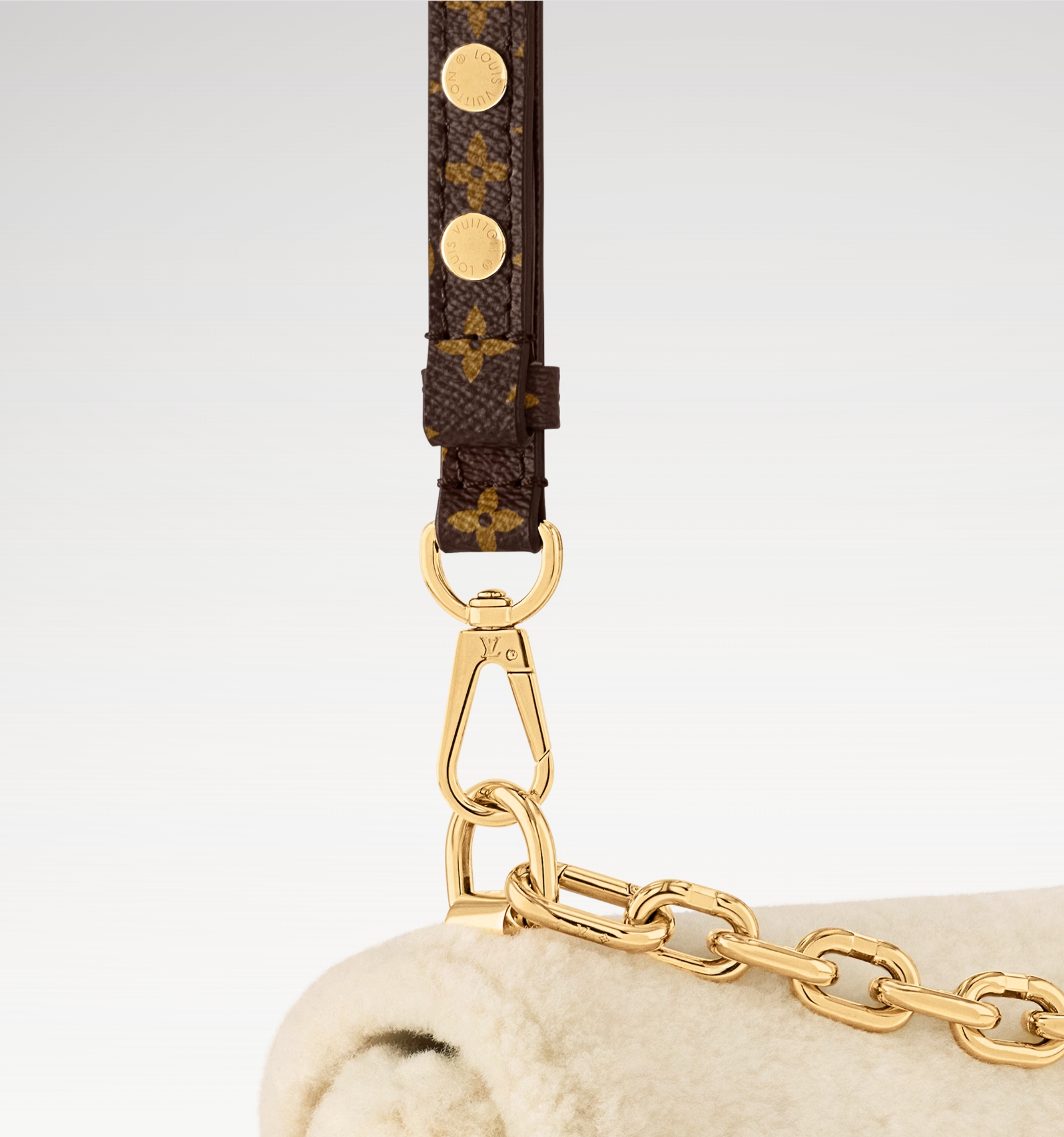 Louis Vuitton LV Twist PM bag