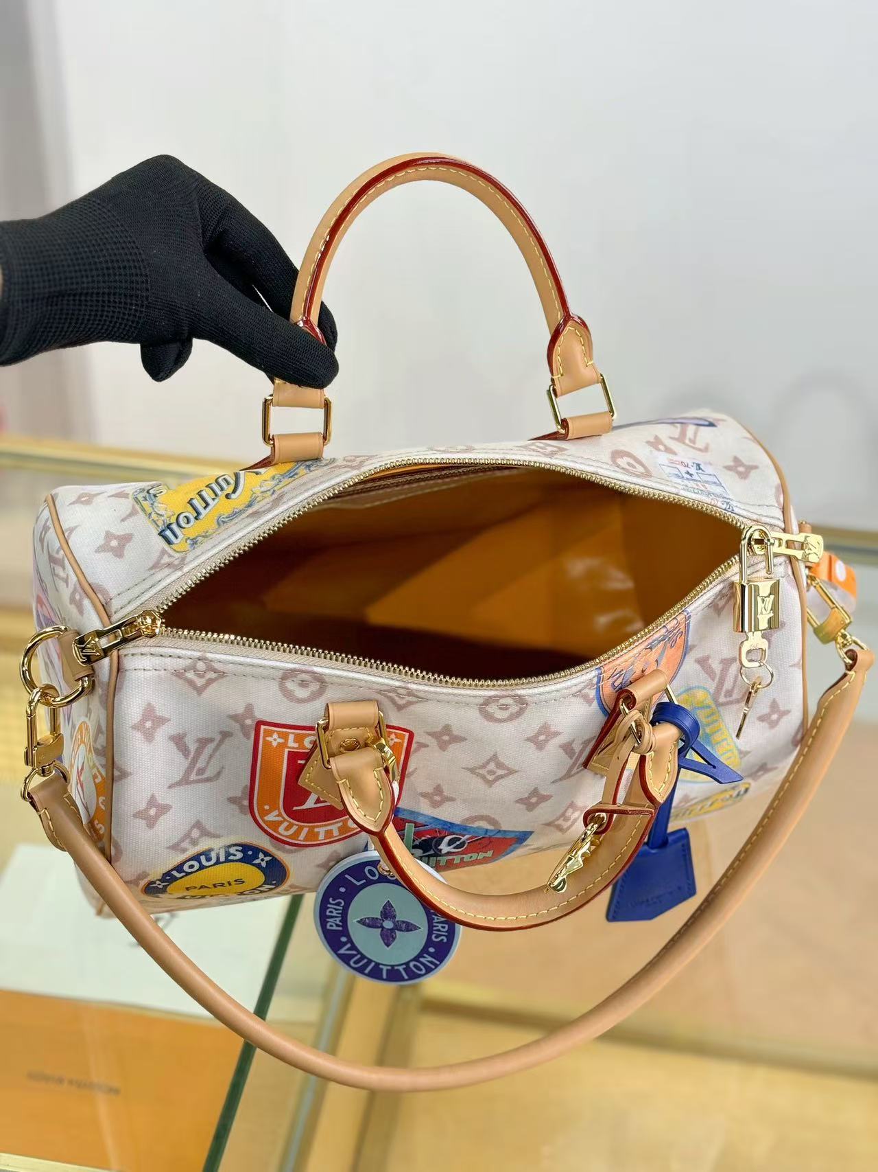 Louis Vuitton LV Sneedy SOFT 30 handbag