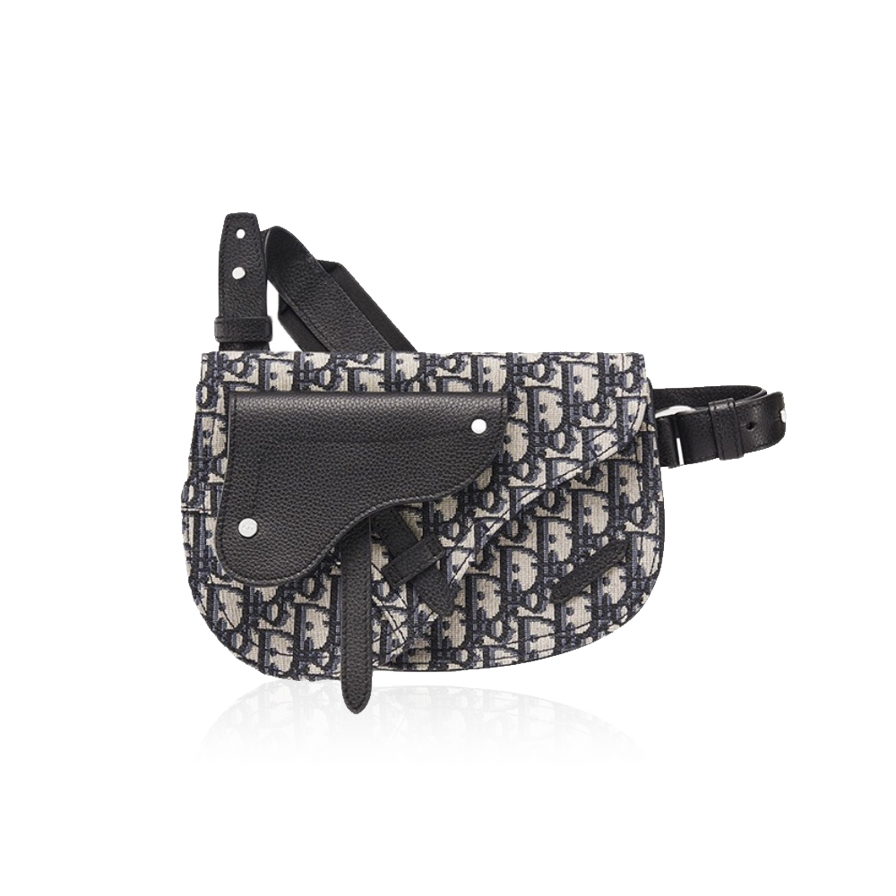 DIOR Saddle  Embroidery Crossbody Bag
