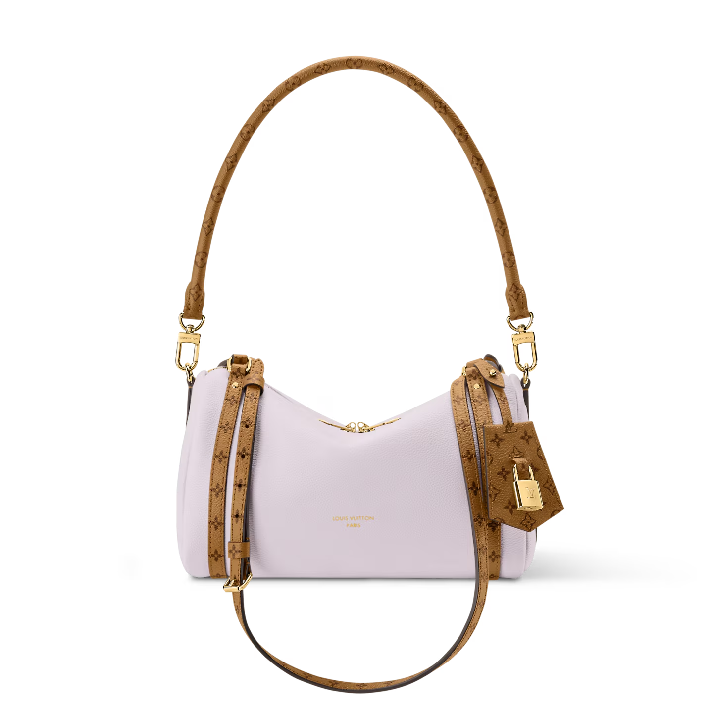 Louis Vuitton LV EXPRESS Bags