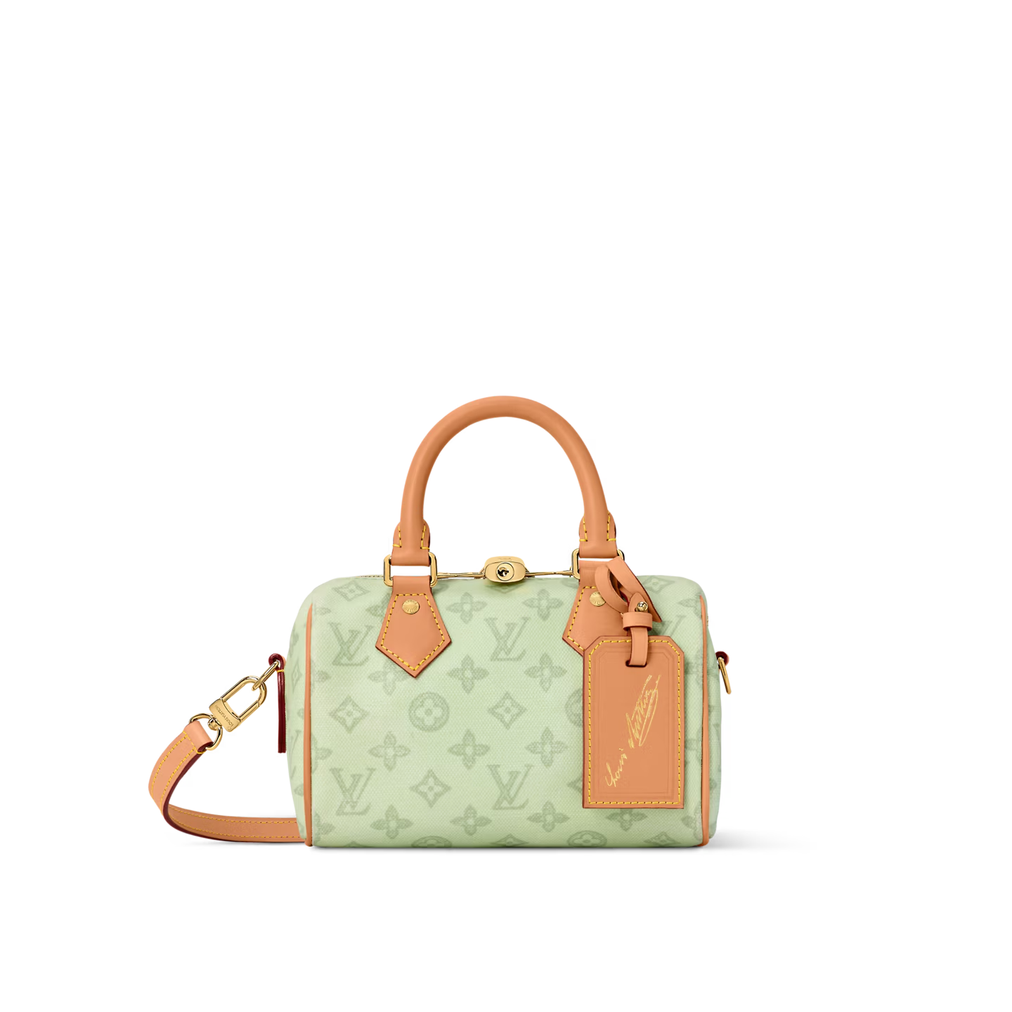 Louis Vuitton LV SPEEDY BANDOULIÈRE 20 Bags