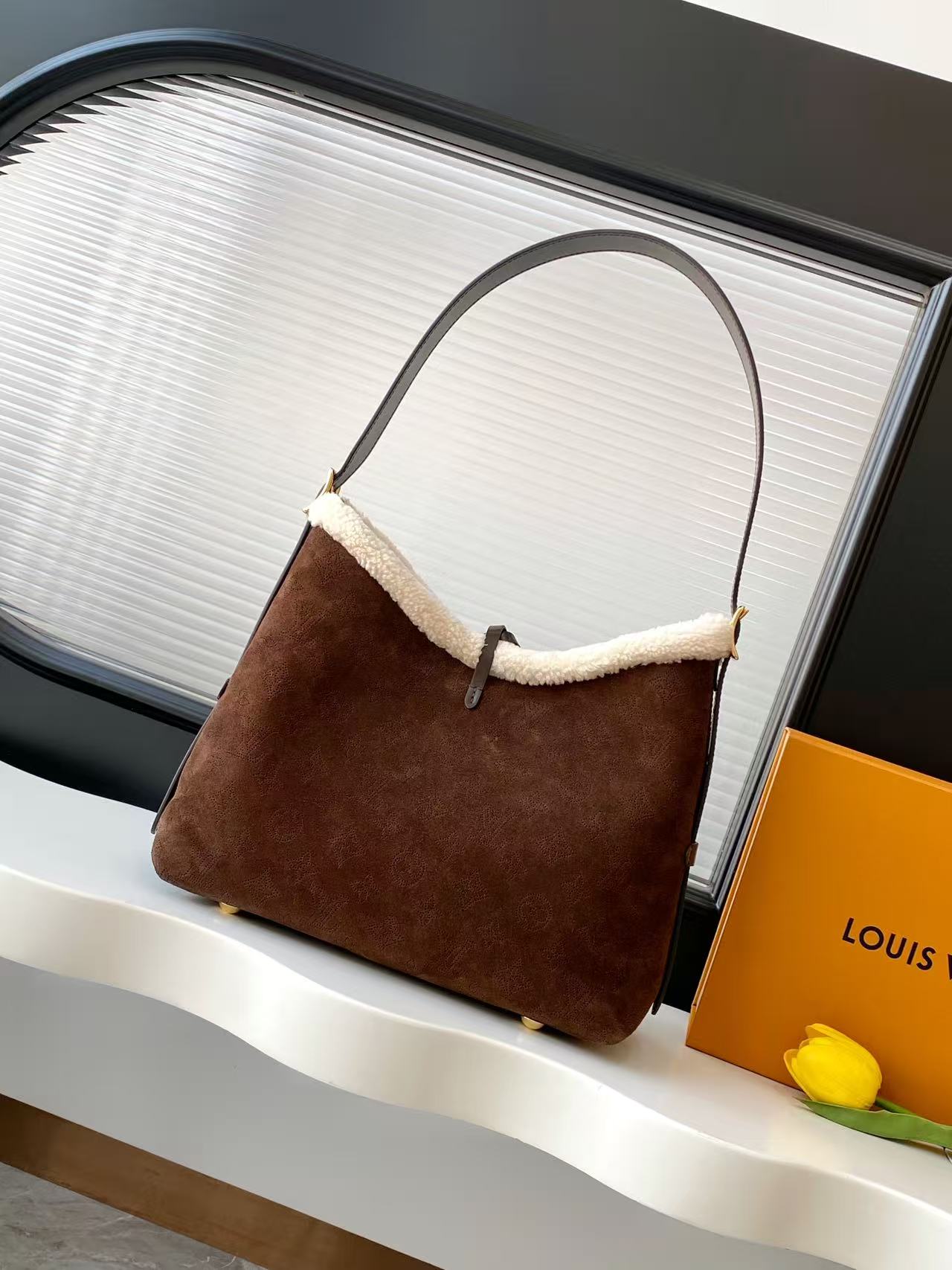 Louis Vuitton Ski Carry All Small Handbag