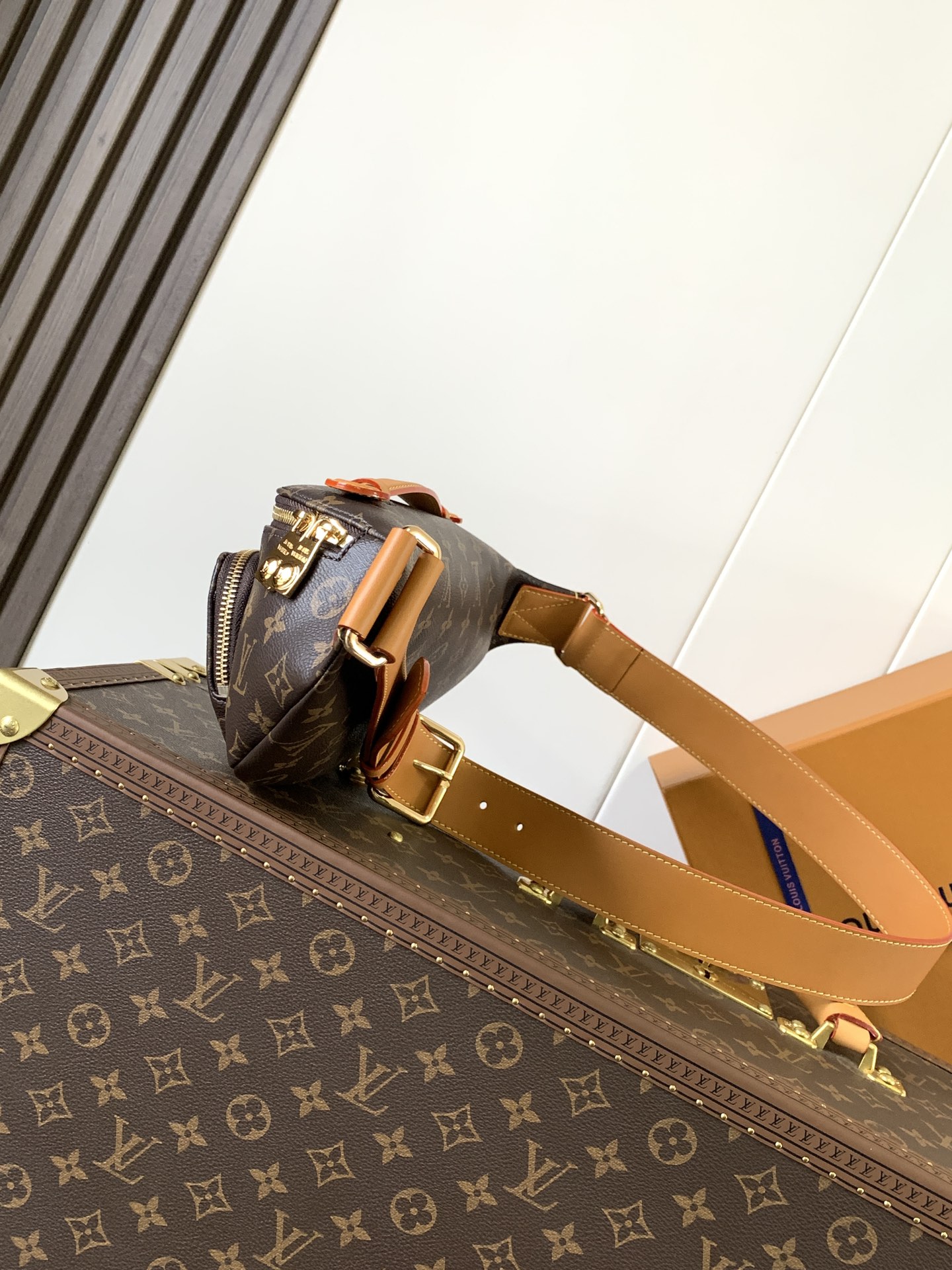 M14019 LV Rush Bumbag in Monogram Canvas