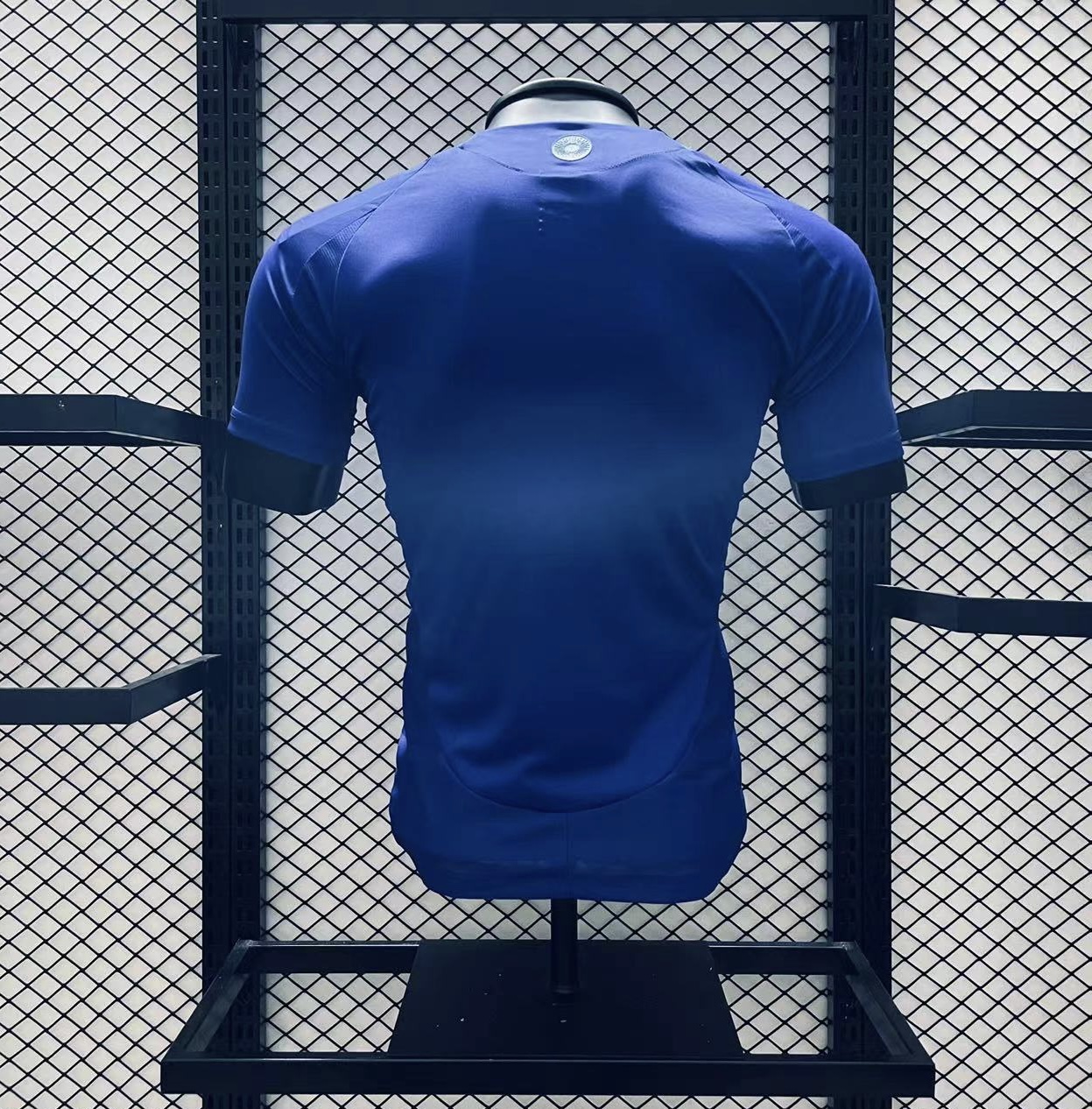 Player Version  Argentina 24/25 Away Royal Blue
