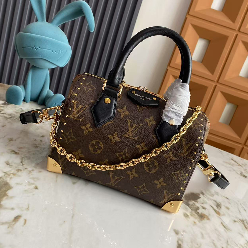 Louis Vuitton LV Speedy Trunk 20 Bag