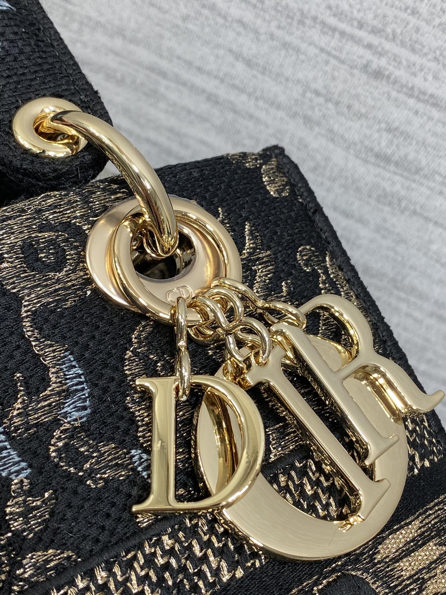 Medium Lady D-Lite in Embroidered Canvas