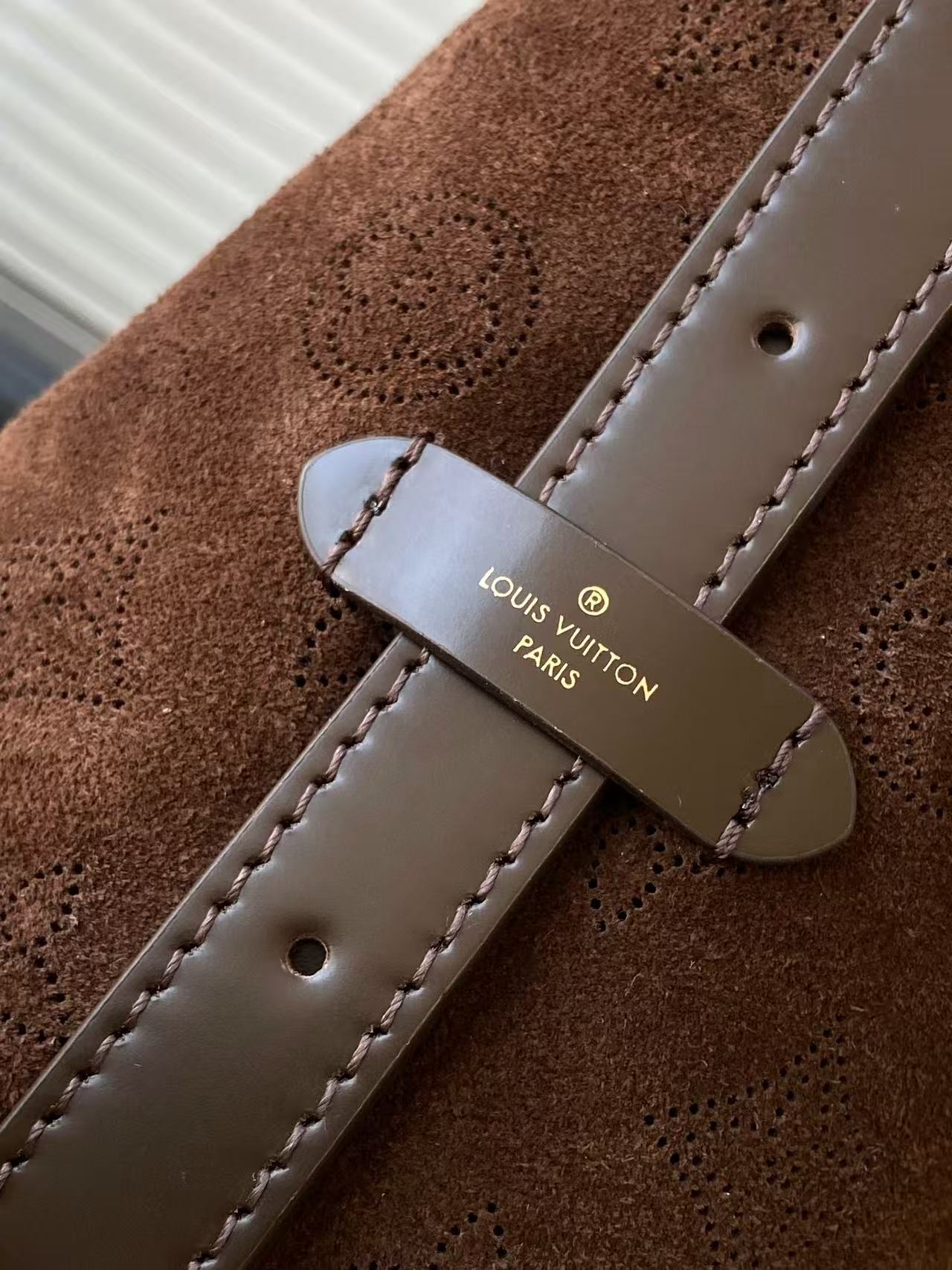 Louis Vuitton Ski Carry All Small Handbag