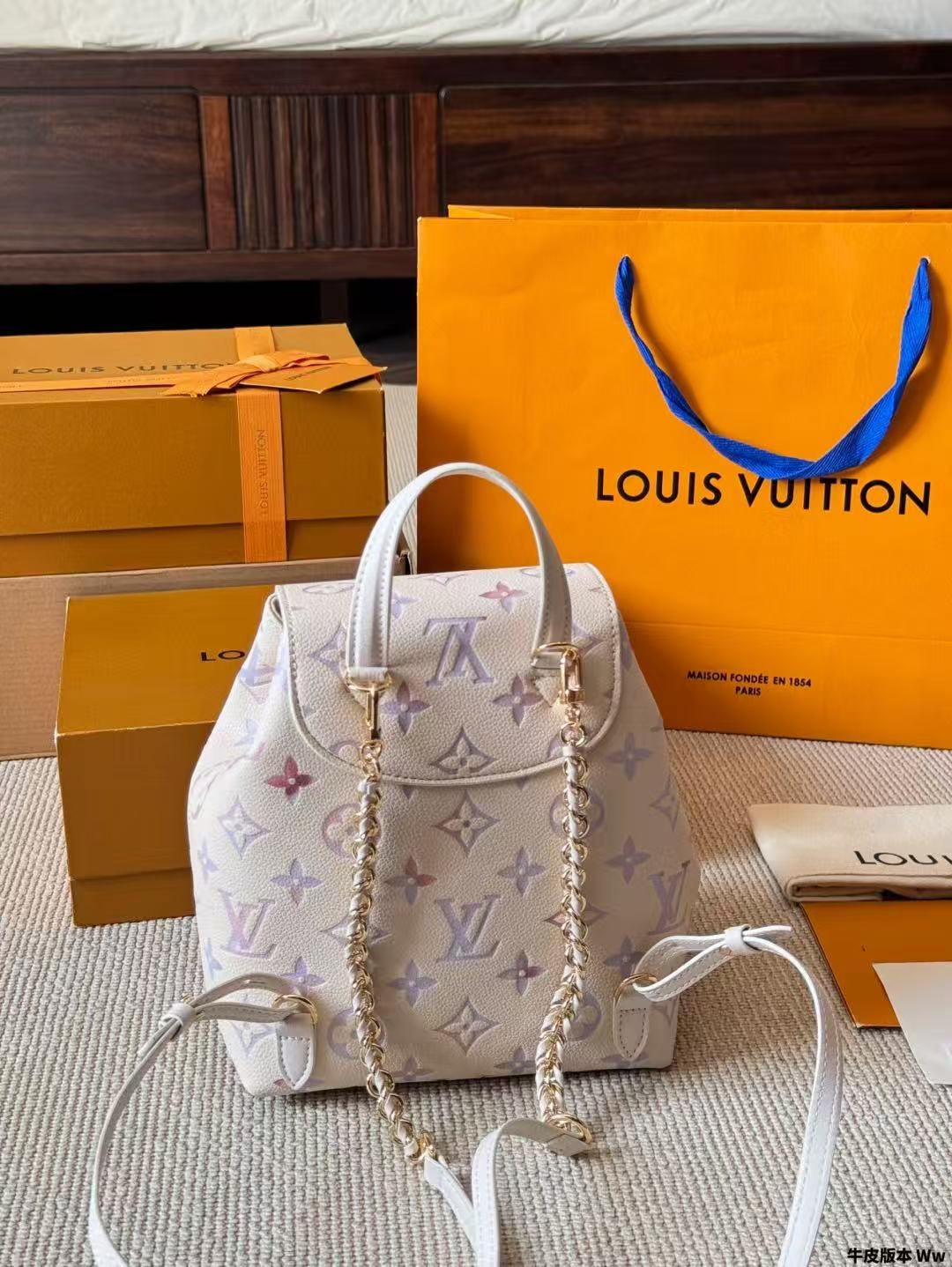 Louis Vuitton Bags lv Backpack