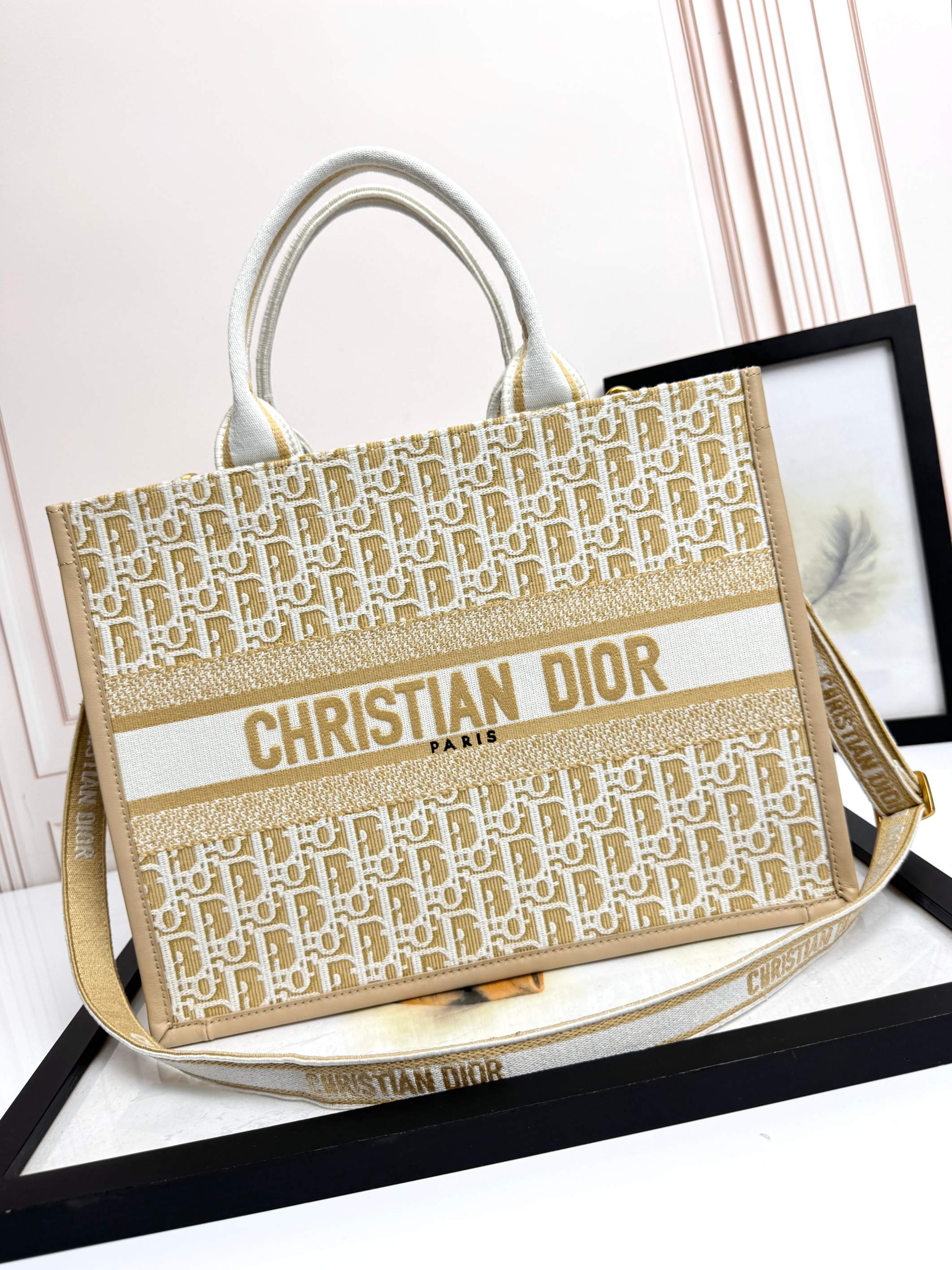 Dior Embroidered Canvas Medium  Book Tote with shoulder strap