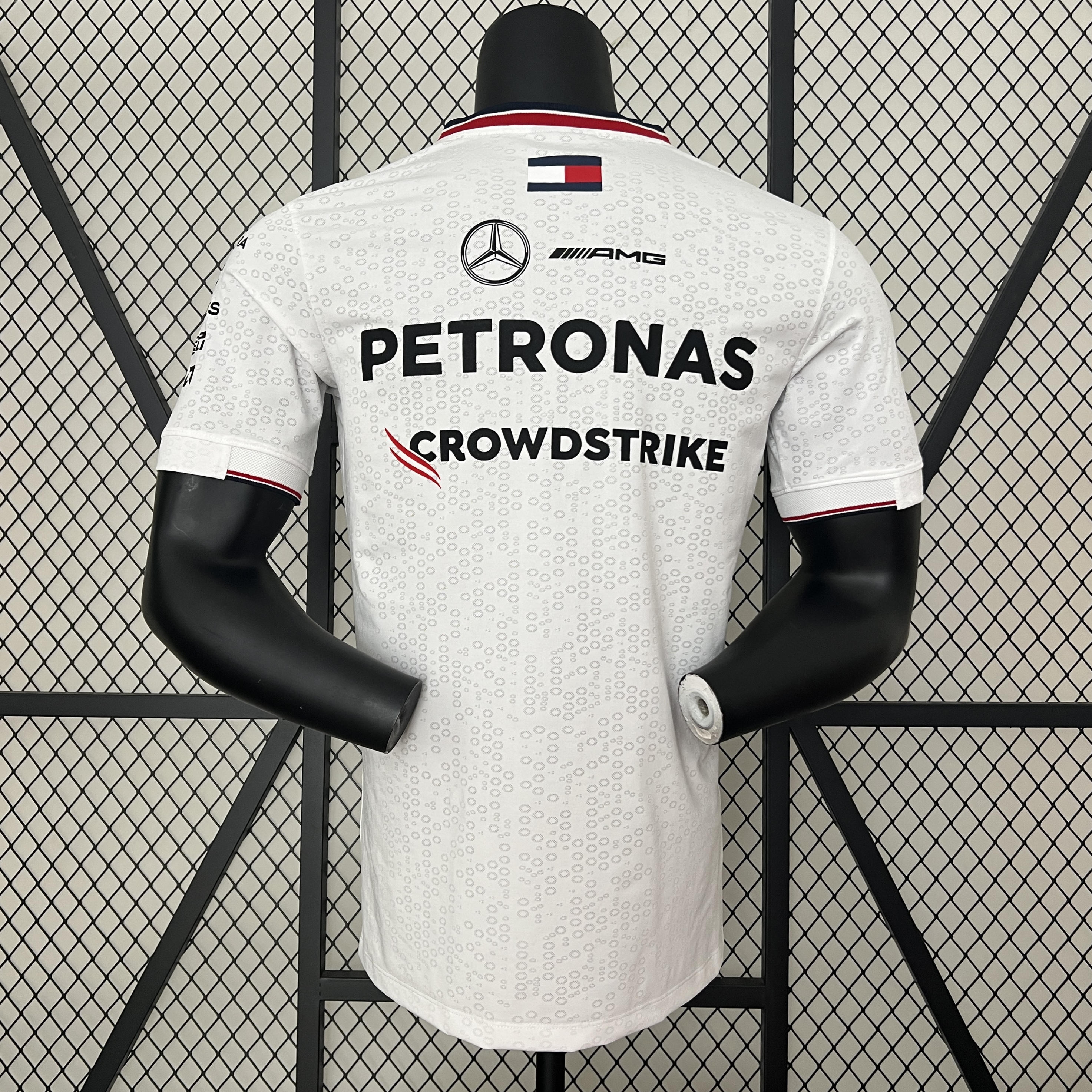 2024 F1 Mercedes-AMG Petronαs S-5XL