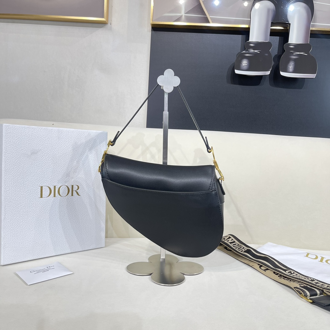Dior SADDLE Bag Classic Collections