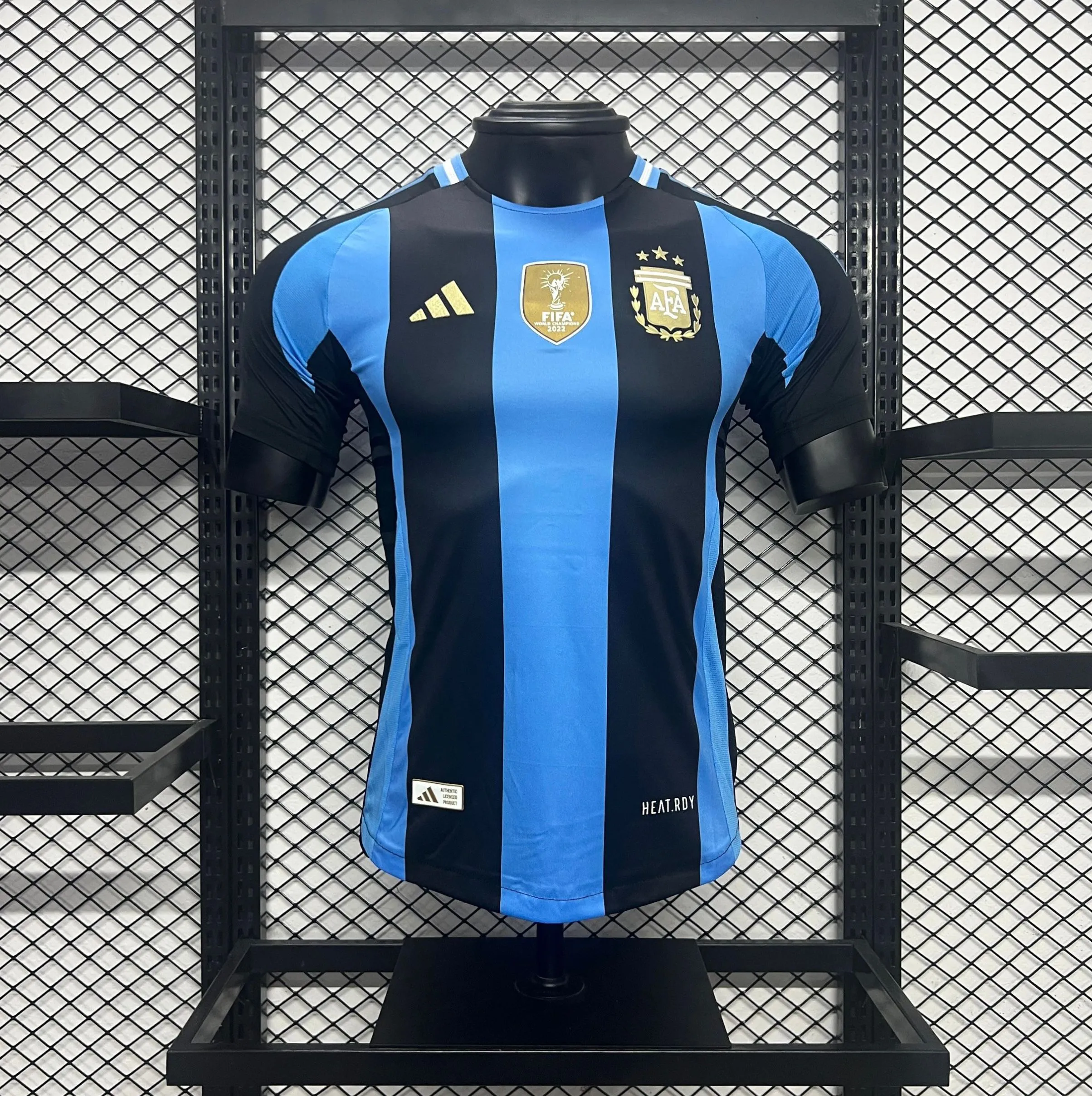 Player Version  Argentina 24/25 Special